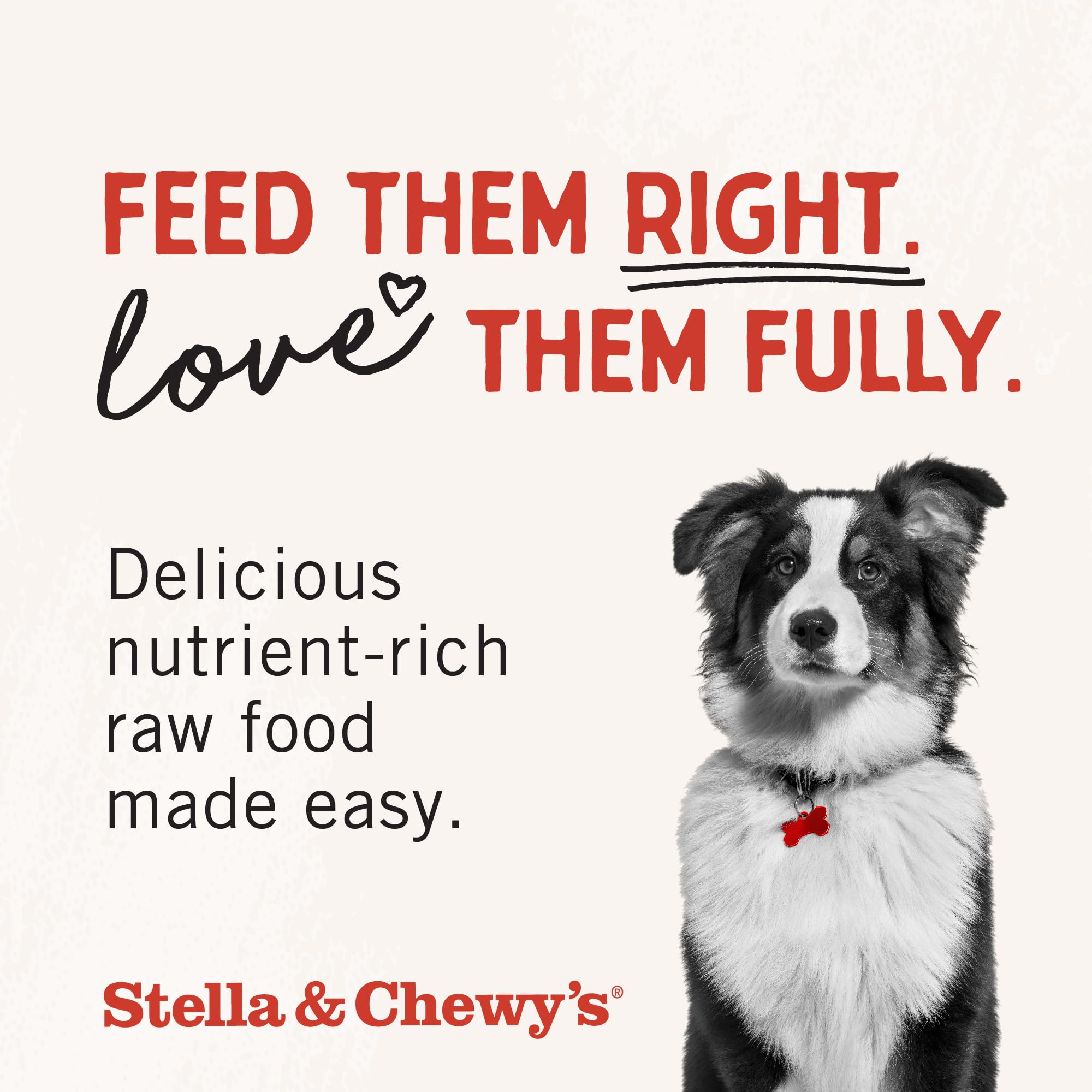 Stella & Chewy's travel-friendly bag shown for treats on the go.