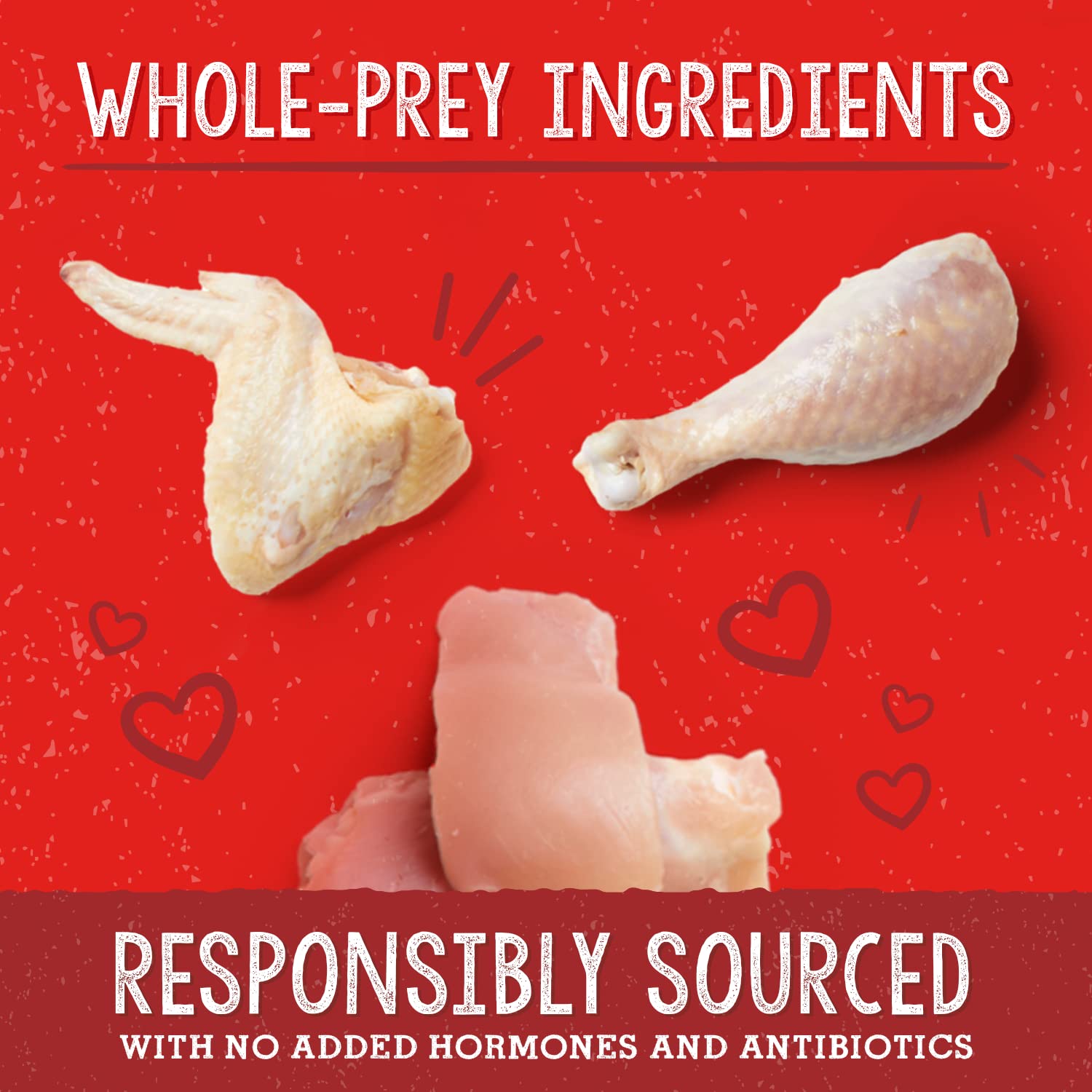 Stella & Chewy's ¼-cup portion scoop demonstrates practical serving.