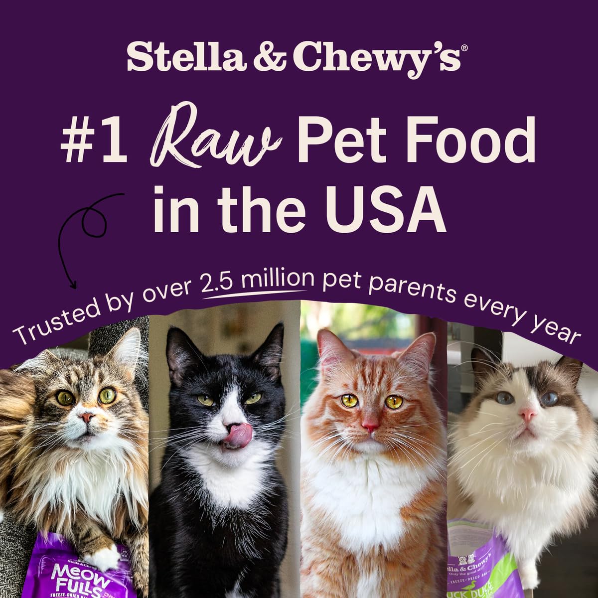 Stella & Chewy's includes probiotics to support digestive comfort.