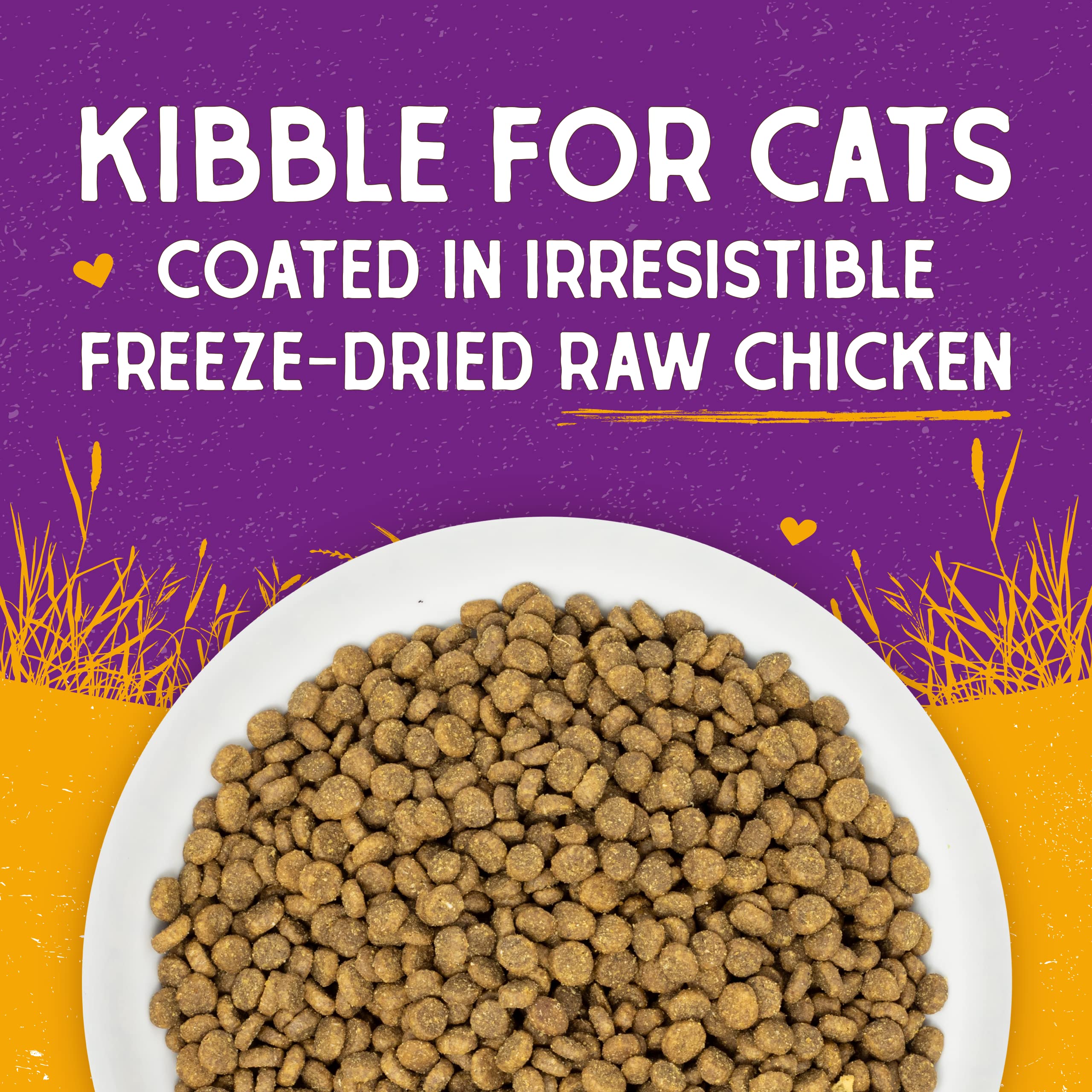 Stella & Chewy's probiotics improve digestive comfort in cats.