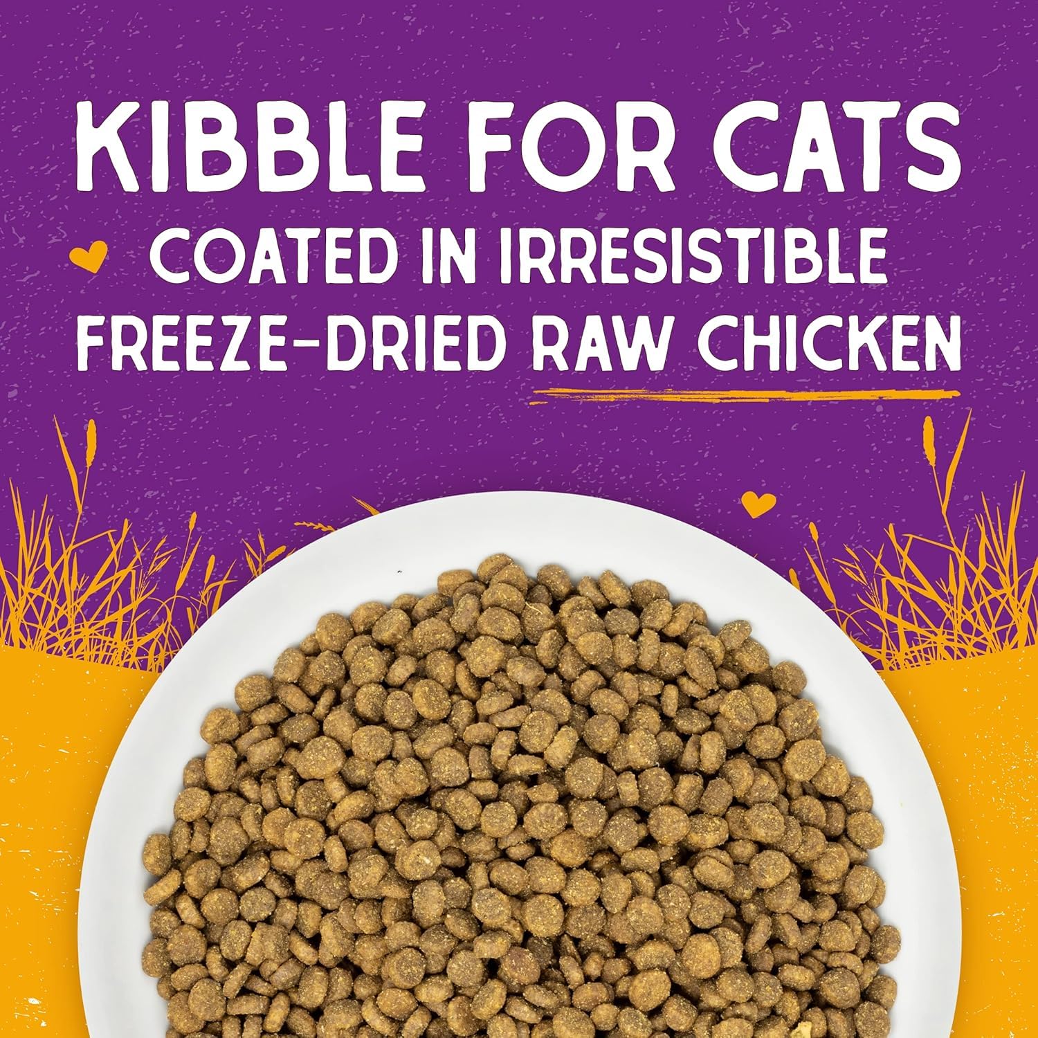 Natural probiotics and fiber support gentle digestion in Stella & Chewy's kibble.