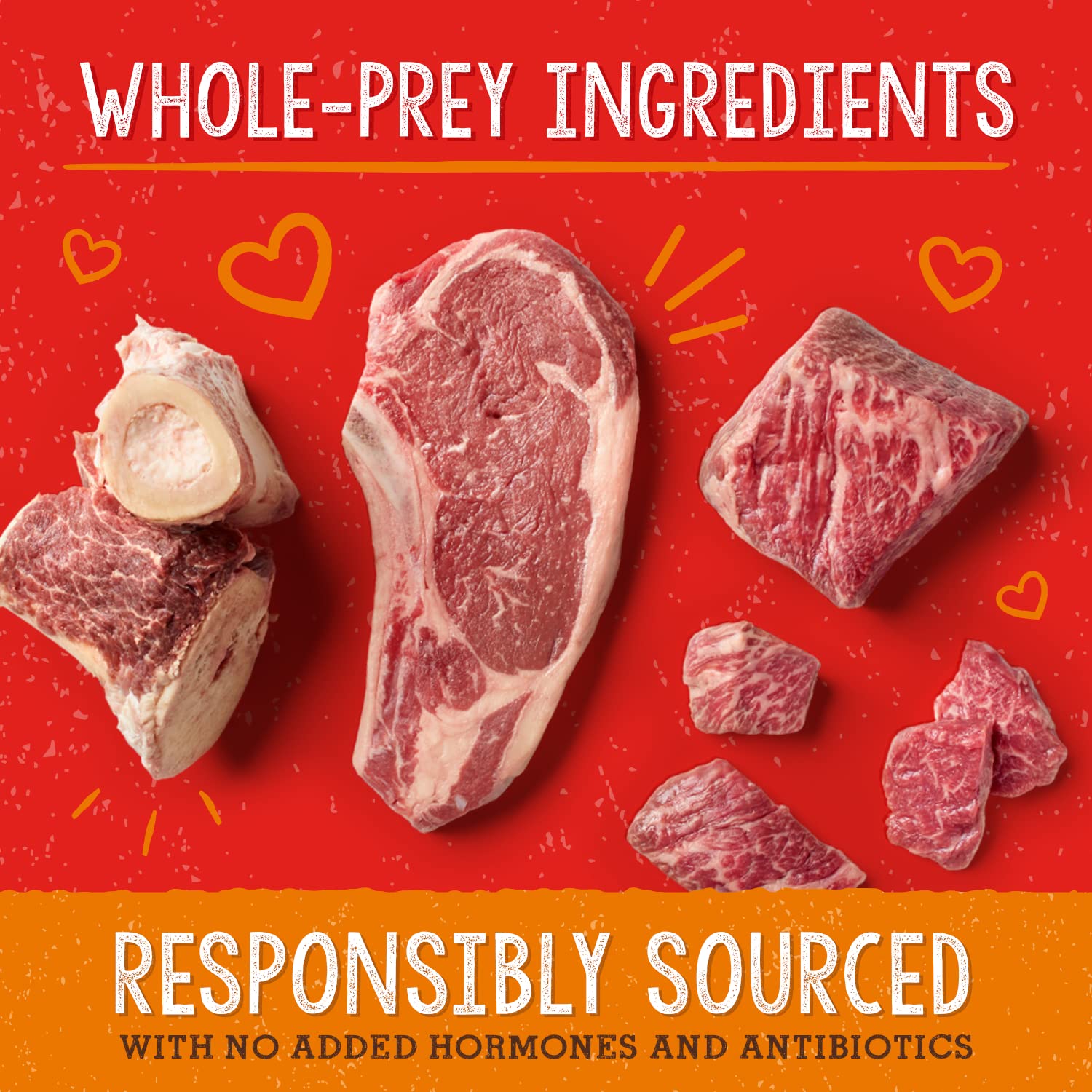 Stella & Chewy's probiotics and prebiotics blend promoting gut flora balance