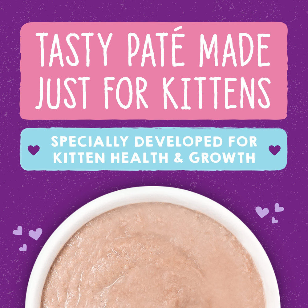 Stella & Chewy's Purrfect Paté kitten bowl showcasing smooth texture.