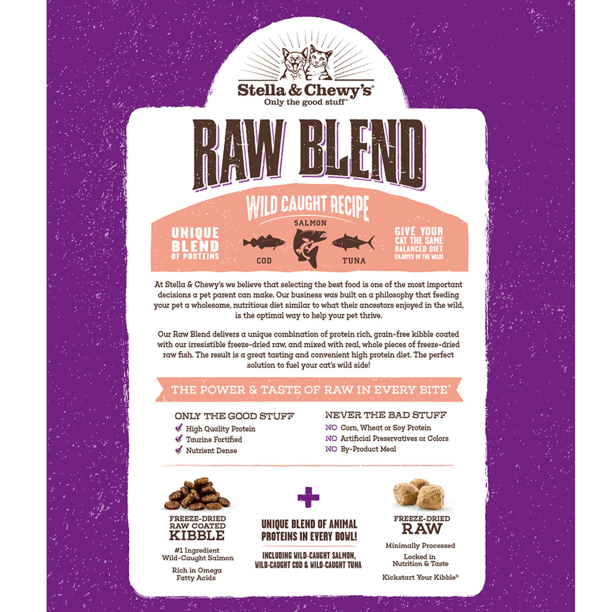 Stella & Chewy's Raw Blend kibble close-up showing freeze-dried raw pieces for flavor and texture.