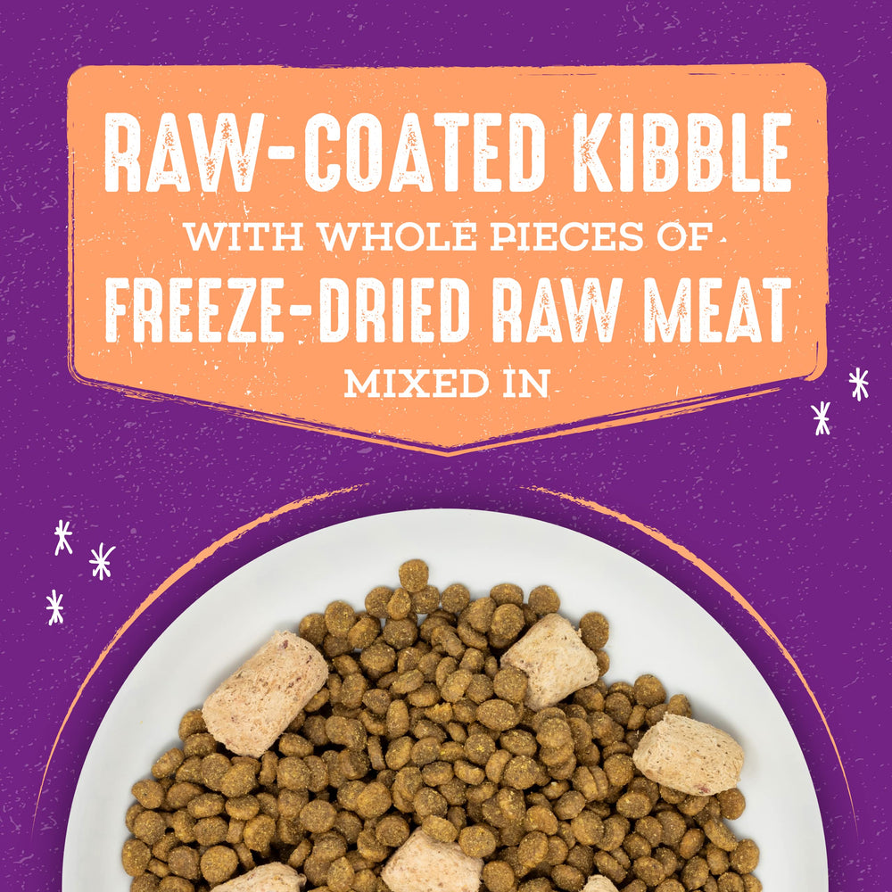 Stella & Chewy's salmon-based ingredients showcasing omega fatty acids for skin and coat.