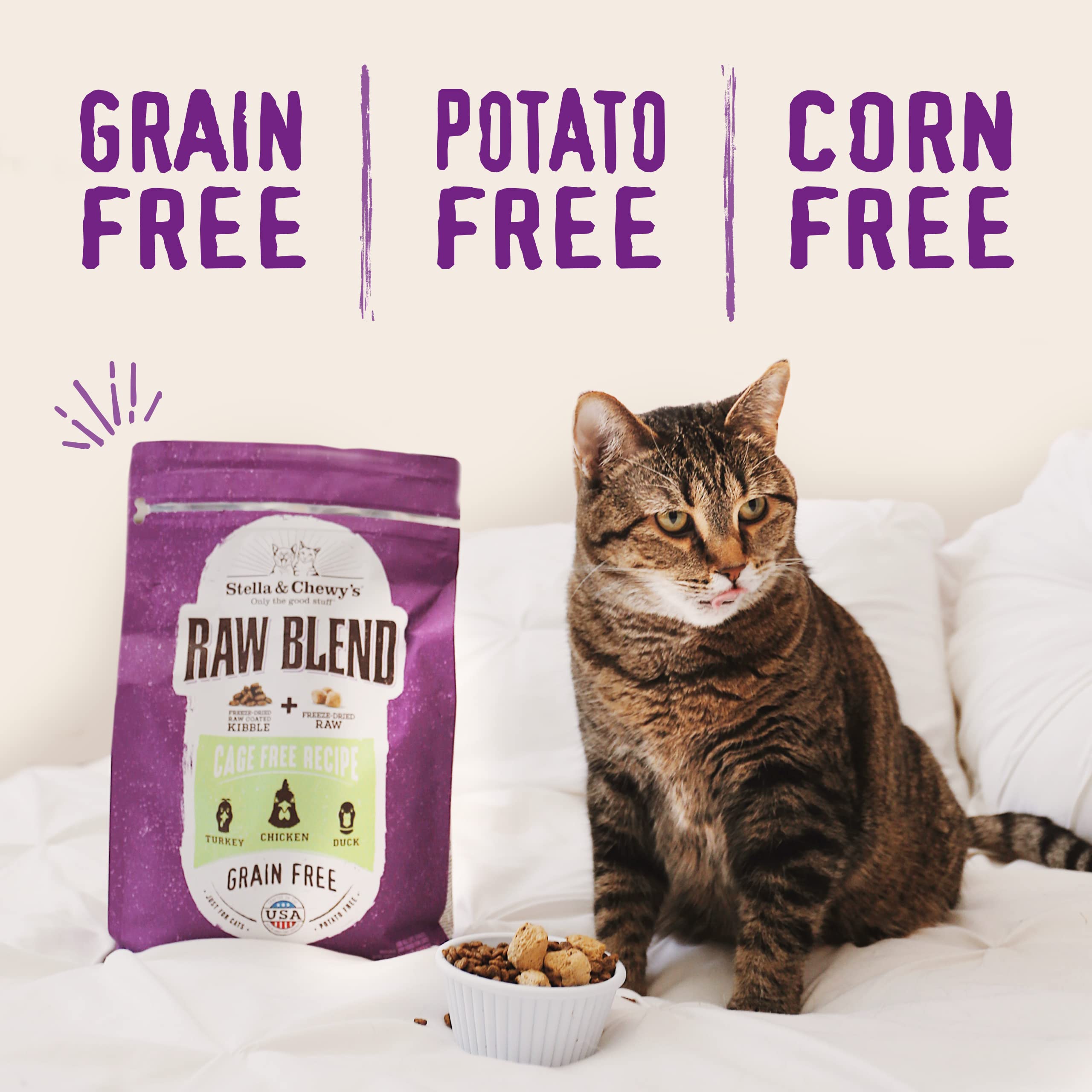 Stella & Chewy's Raw Blend grain-free formula avoids corn and soy for easier digestion.