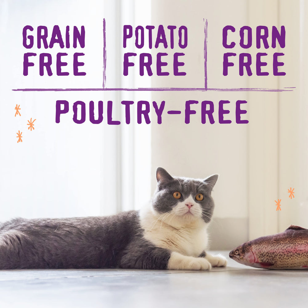 Stella & Chewy's Raw Blend grain-free formula delivers easy digestion for cats