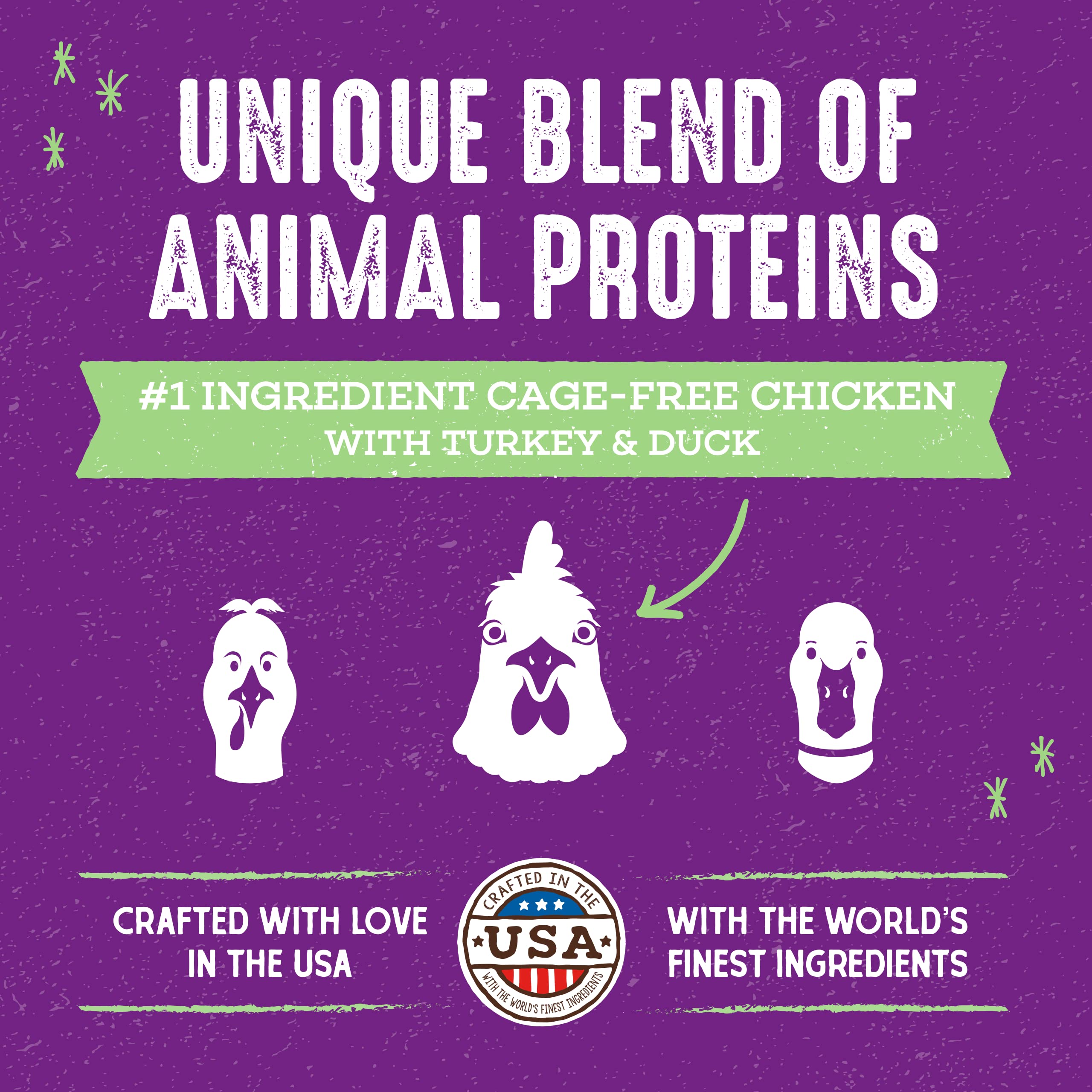 Stella & Chewy's packaging for Raw Blend Poultry recipe showing premium ingredients