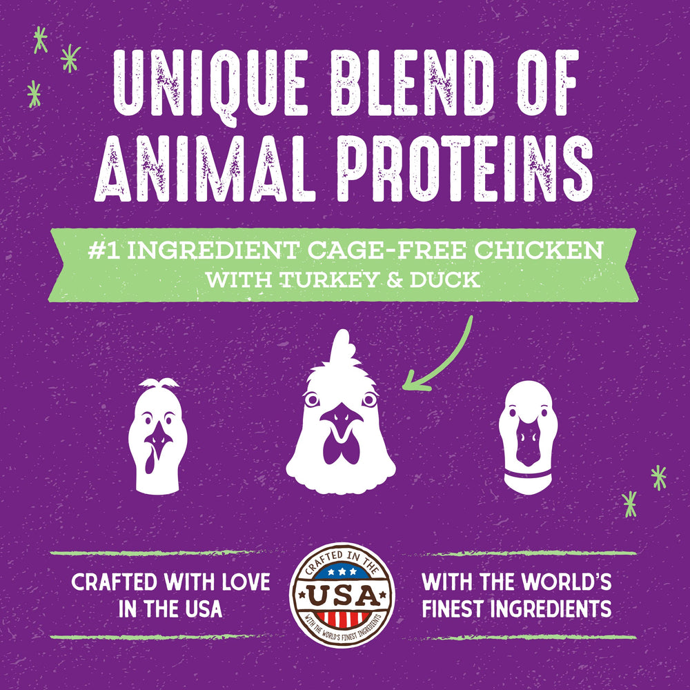 Stella & Chewy's packaging for Raw Blend Poultry recipe showing premium ingredients