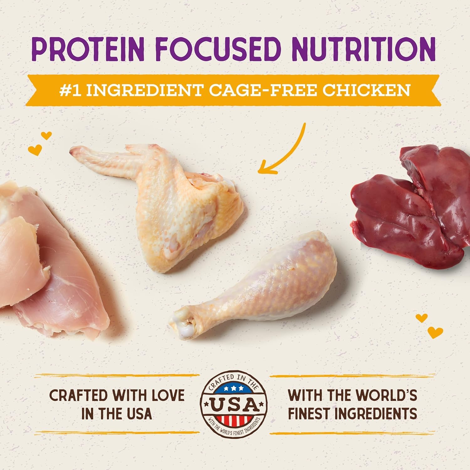 Close-up shows the freeze-dried raw coating enhancing flavor in Stella & Chewy's kibble.