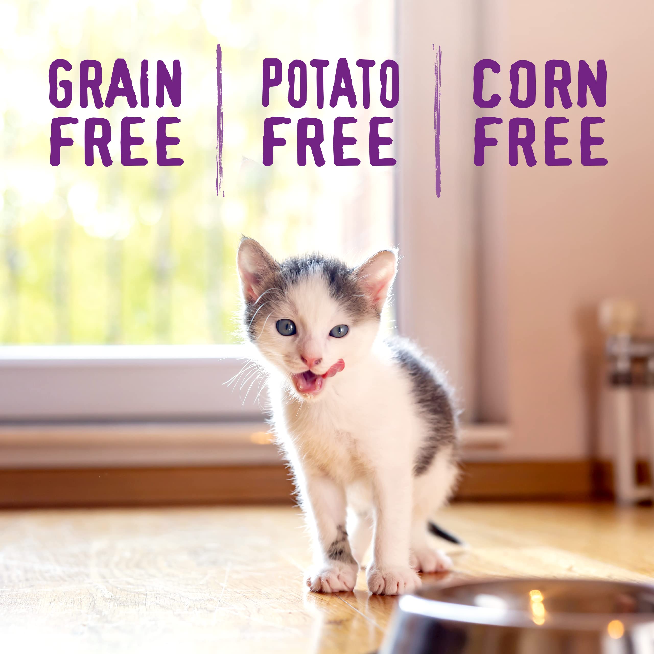 Stella & Chewy's grain-free formula image emphasizes digestibility