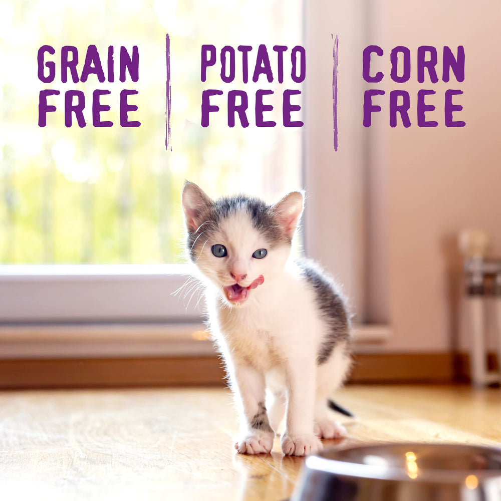 Stella & Chewy's grain-free formula image emphasizes digestibility