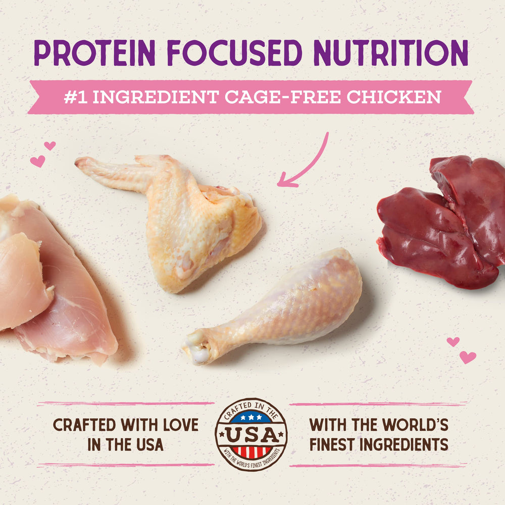 Stella & Chewy's kitten kibble close-up shows texture and protein-rich formula