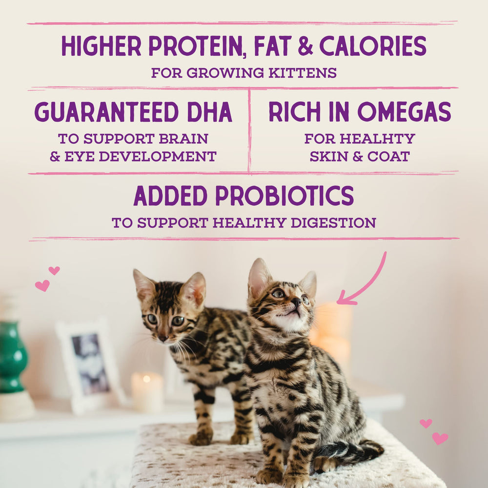 Stella & Chewy's kitten kibble with salmon oil supports skin and coat.