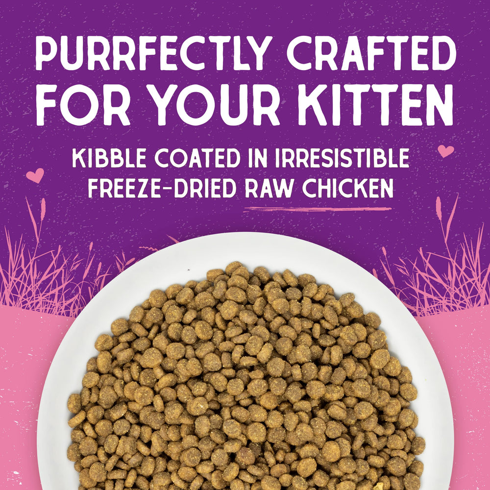 Stella & Chewy's whole-prey ingredients image highlights natural nutrition