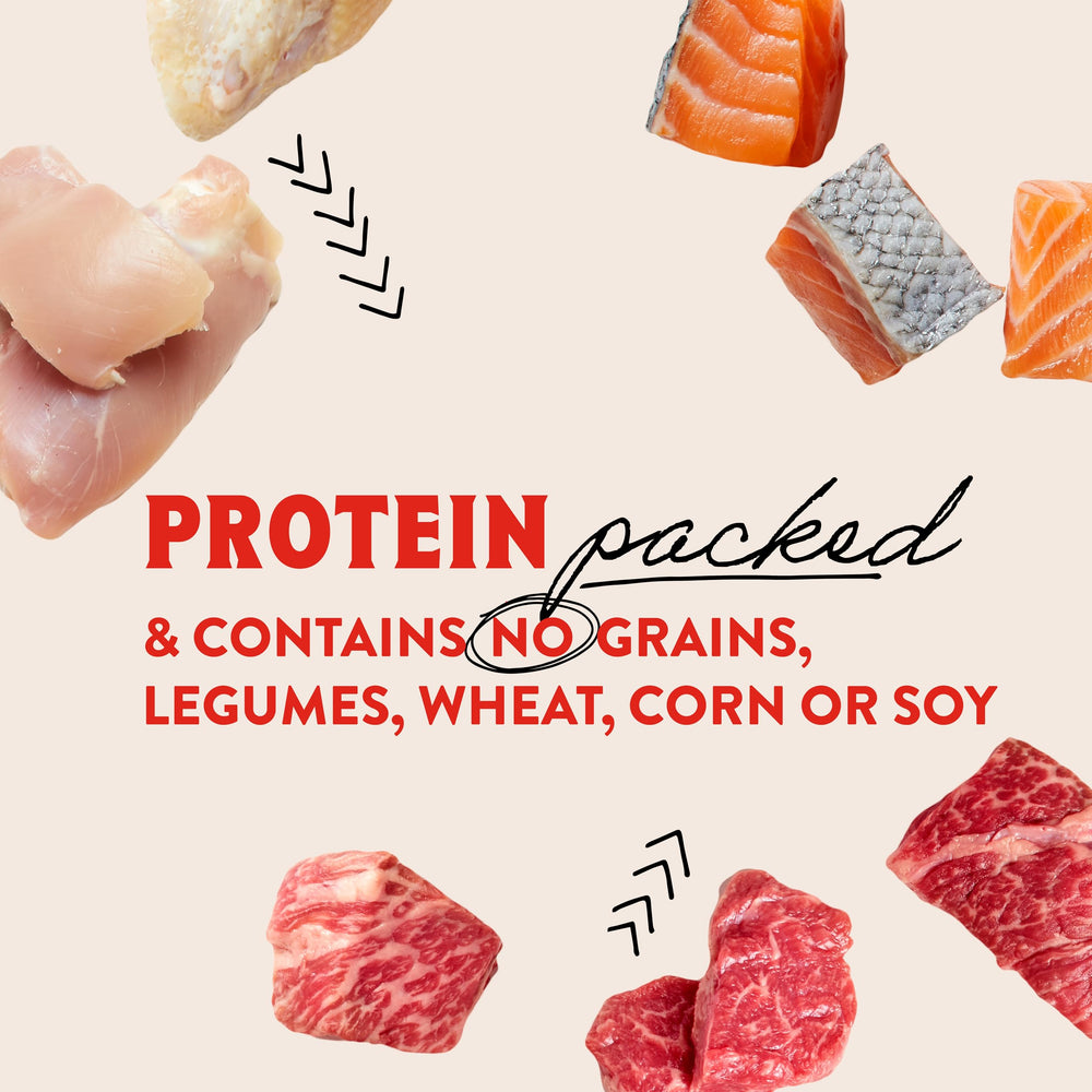Stella & Chewy's salmon flavor appeals to picky eaters.
