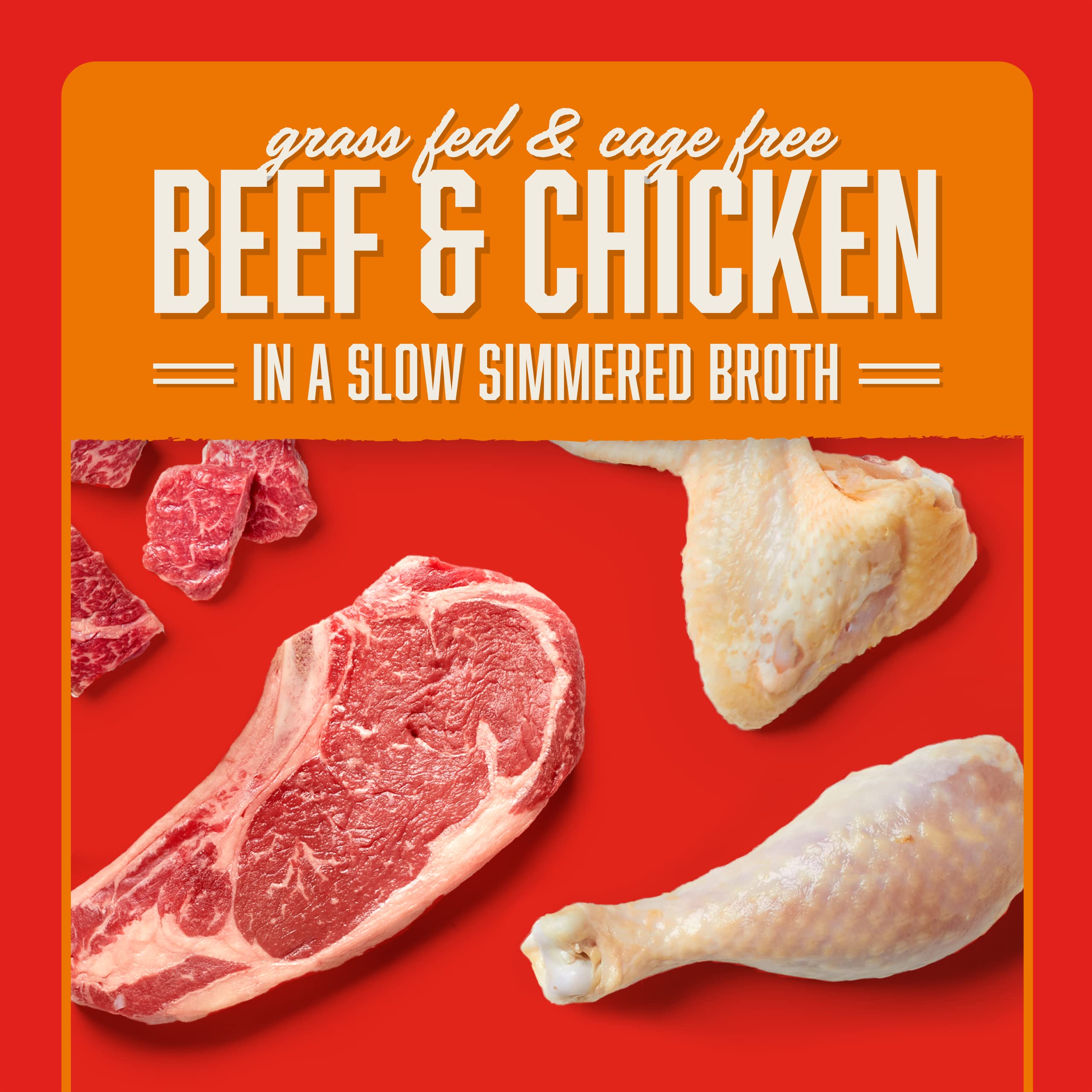 Stella & Chewy's Shredrs in bowl shows complete nutrition with savory broth.