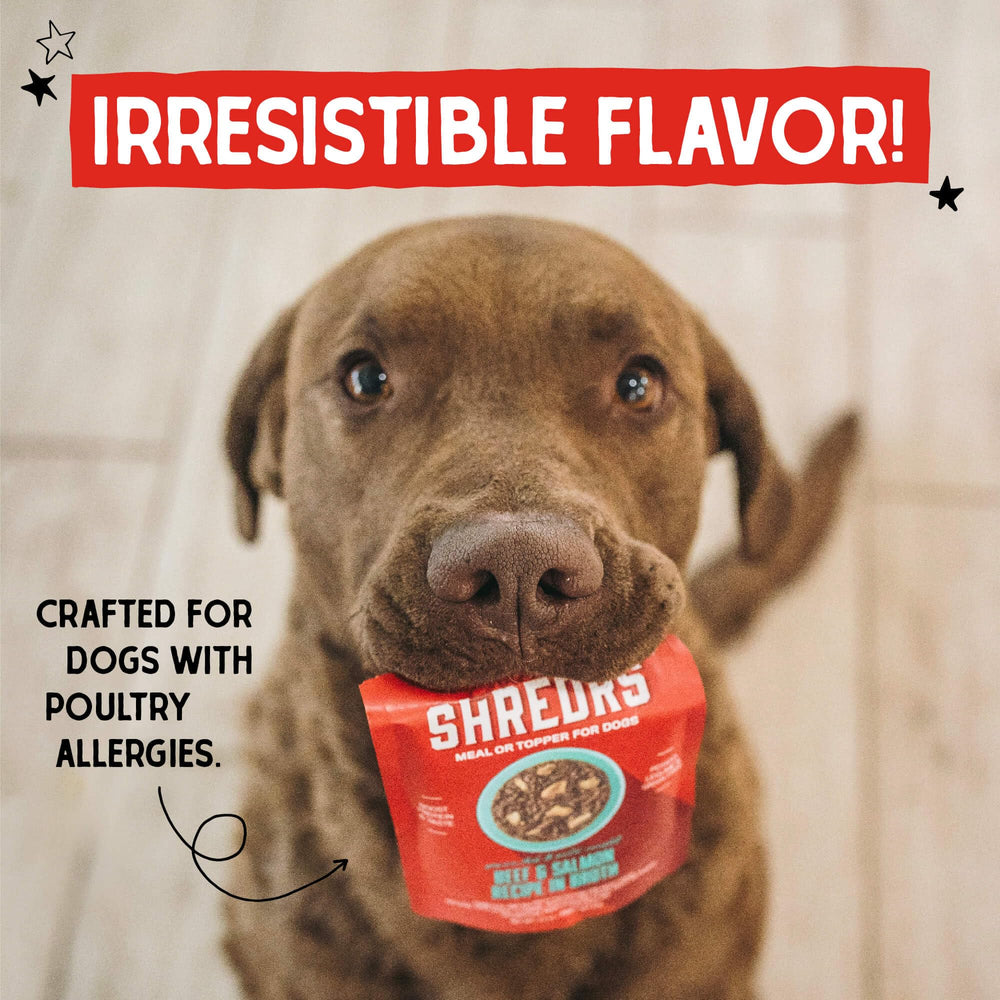 Stella & Chewy's Shredrs pouch packaging highlighting convenient single-serve portions.