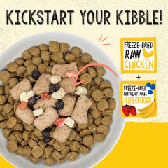Stella & Chewy's SuperBlends chicken bites in bowl as a flavorful meal topper