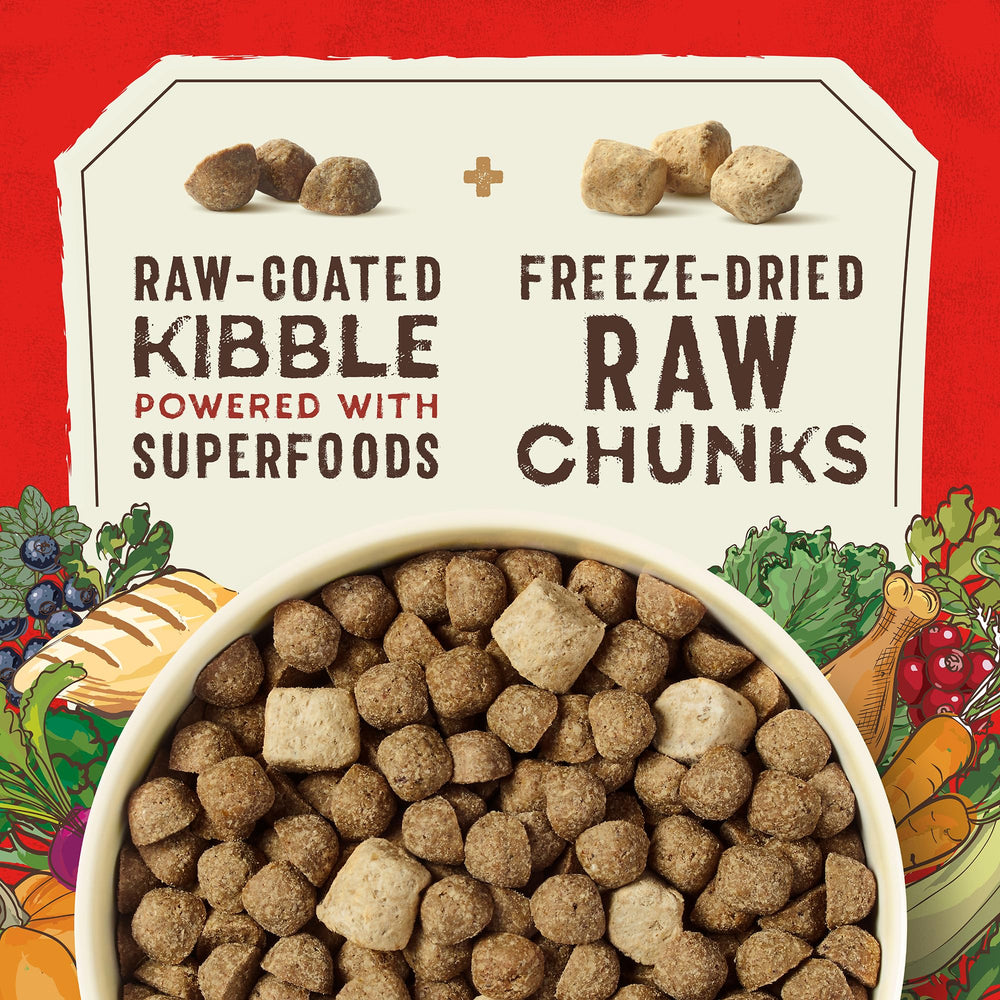 Close-up of raw-coated kibble texture in Stella & Chewy's SuperBlends.
