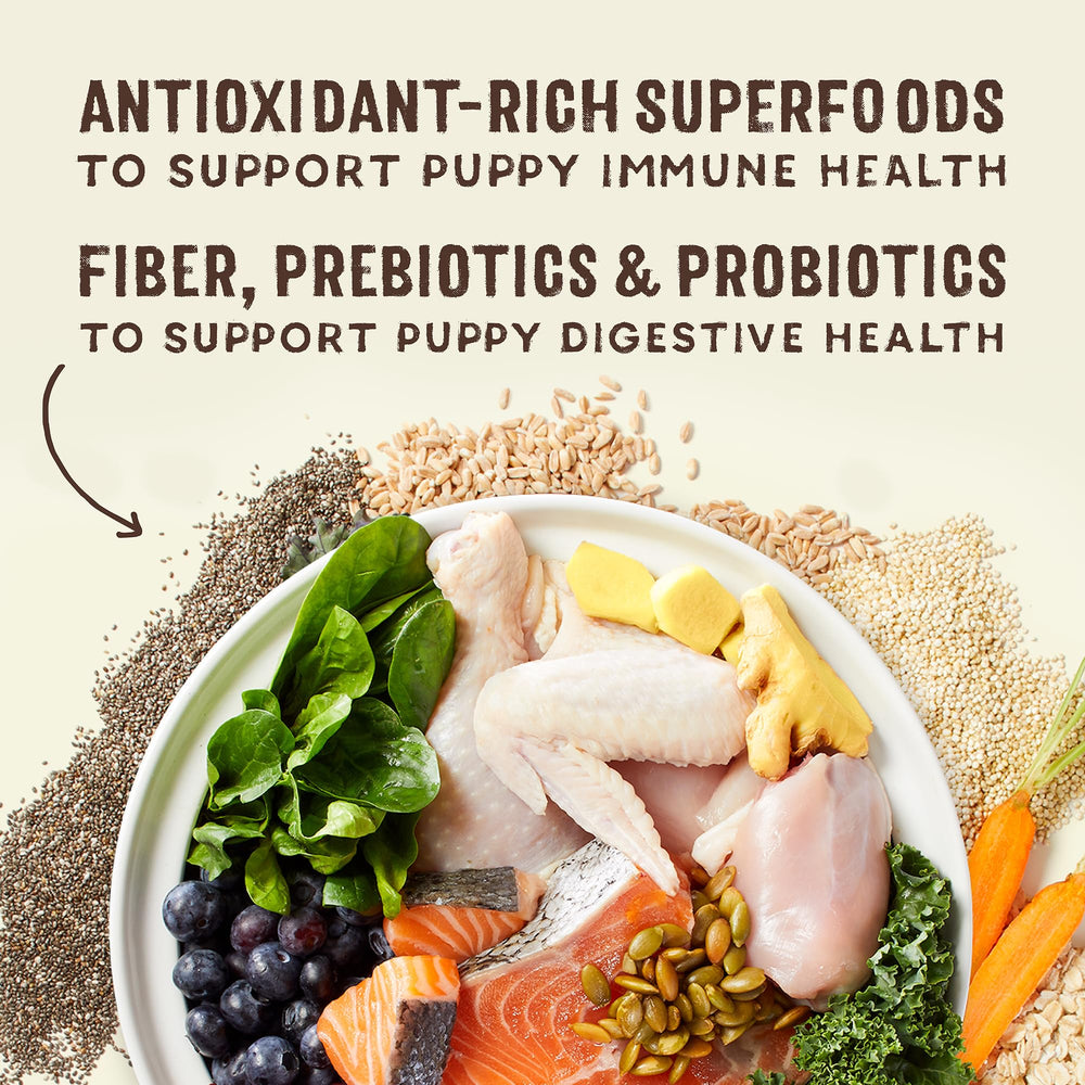 A variety of superfoods and grains included in Stella & Chewy's recipe.