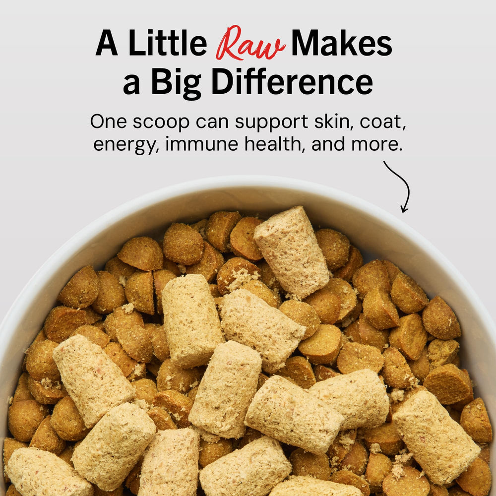 Surf & Turf complete meal serving from Stella & Chewy's for grain-free nutrition