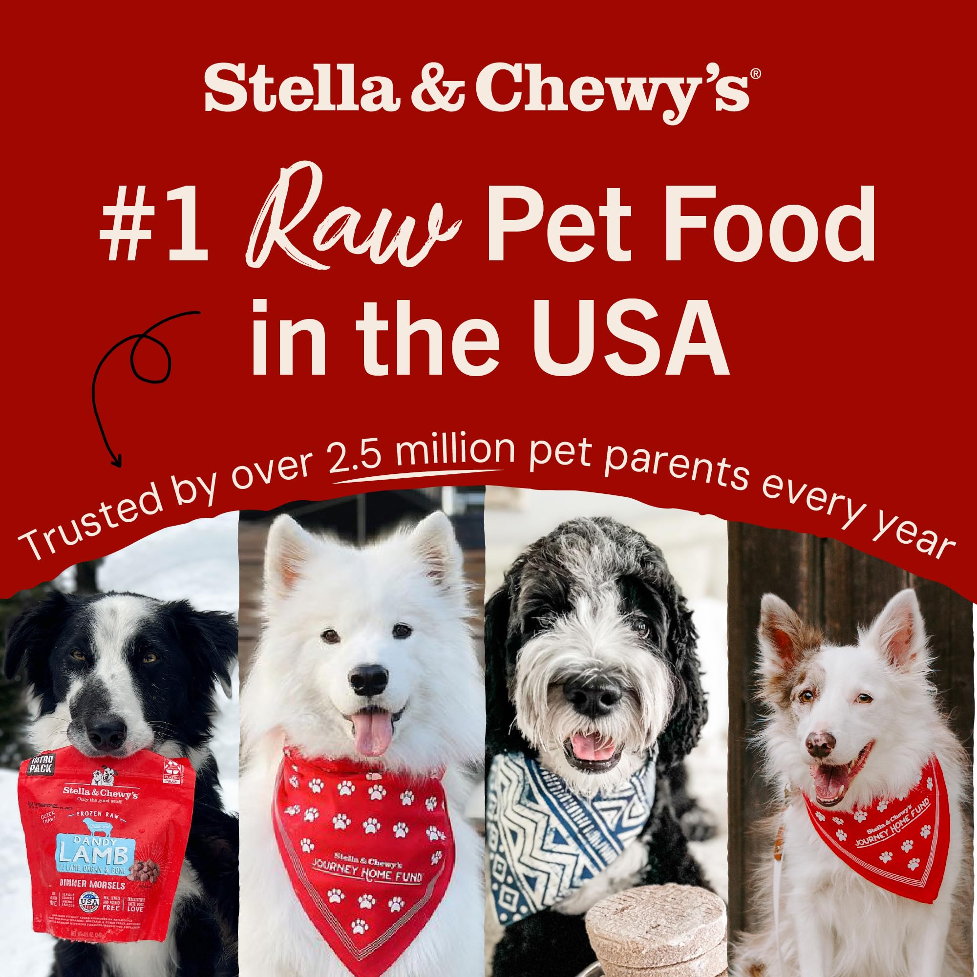 Made in USA in small batches with Stella & Chewy's responsibly sourced ingredients.