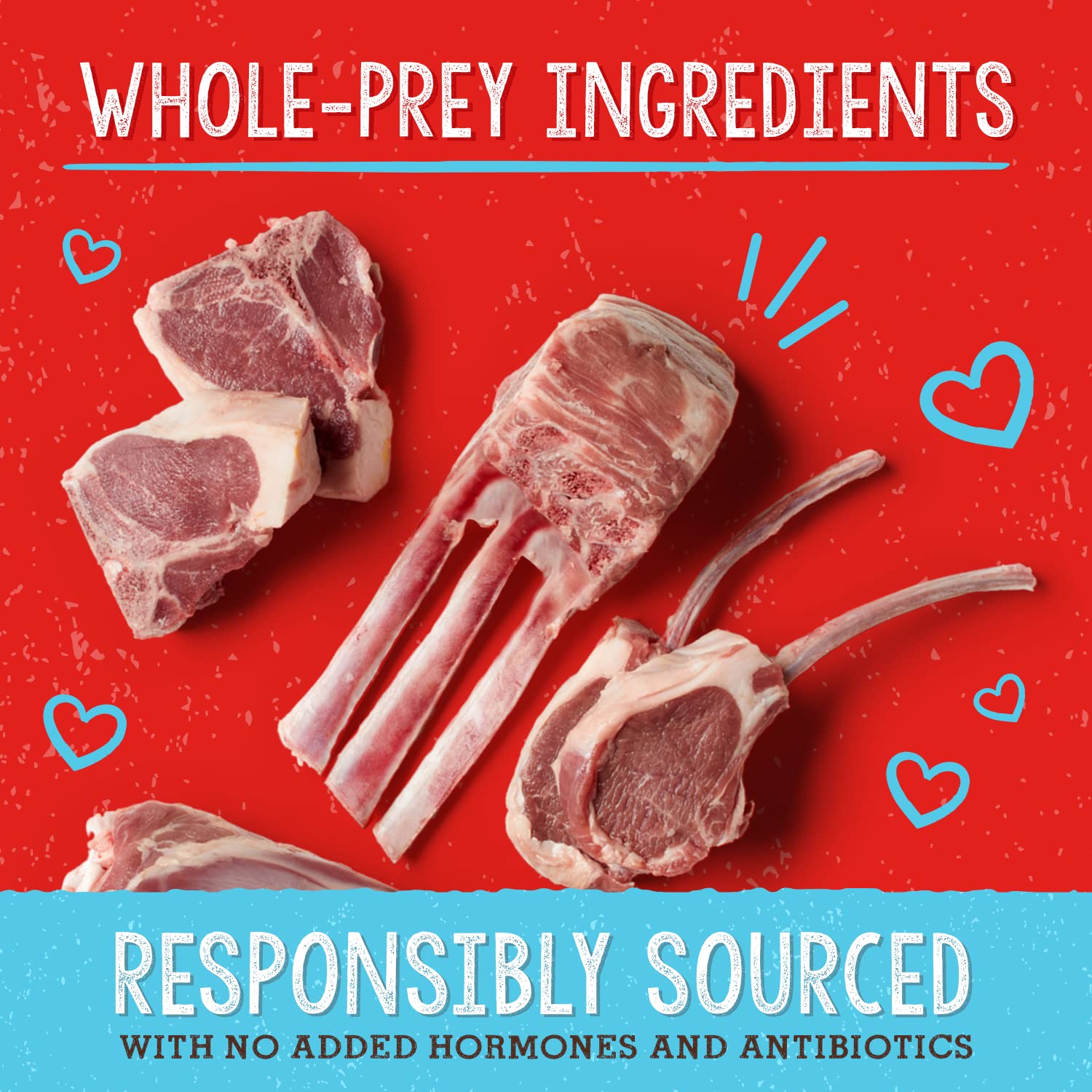 Stella & Chewy's toppers on kibble boost flavor and nutrition.