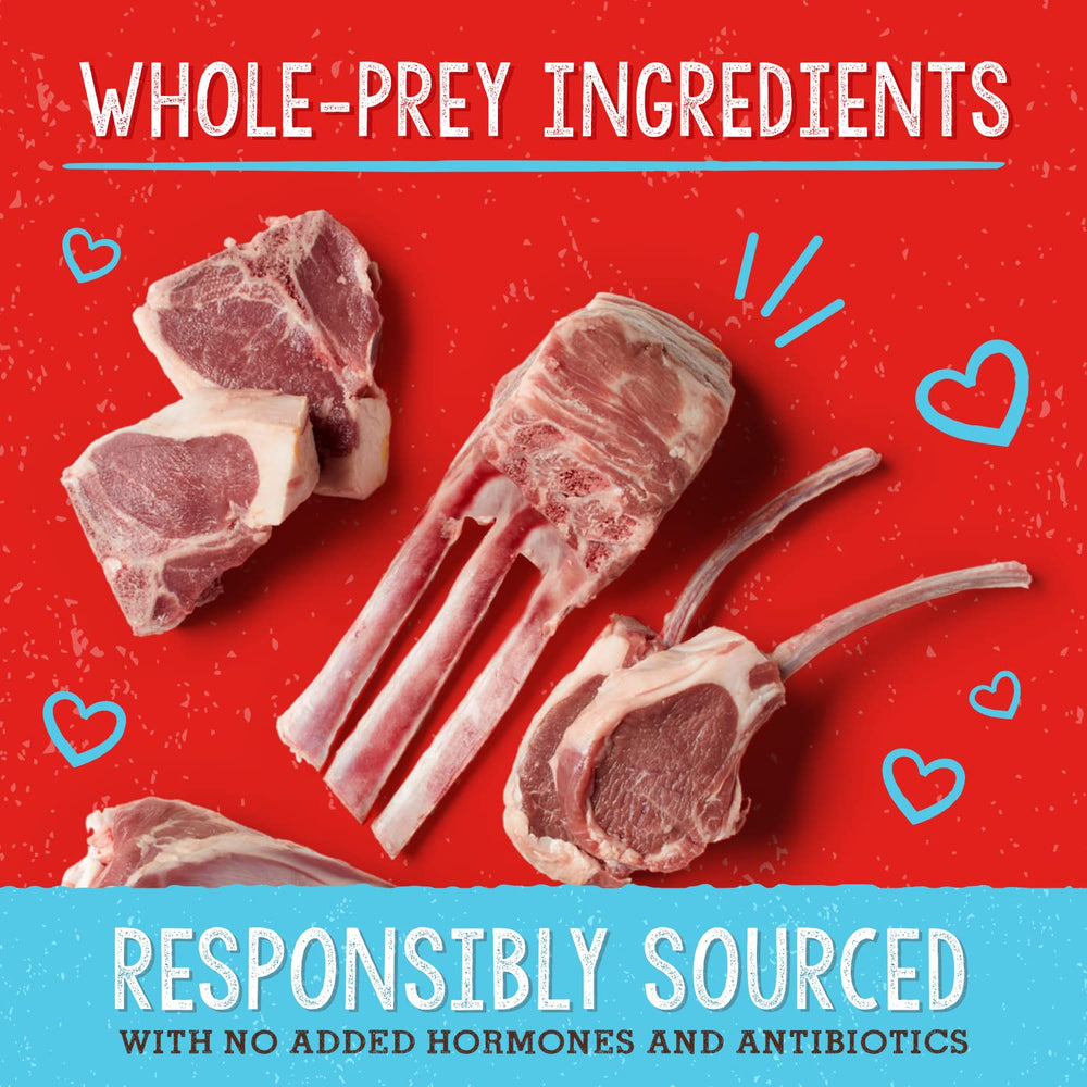Stella & Chewy's toppers on kibble boost flavor and nutrition.