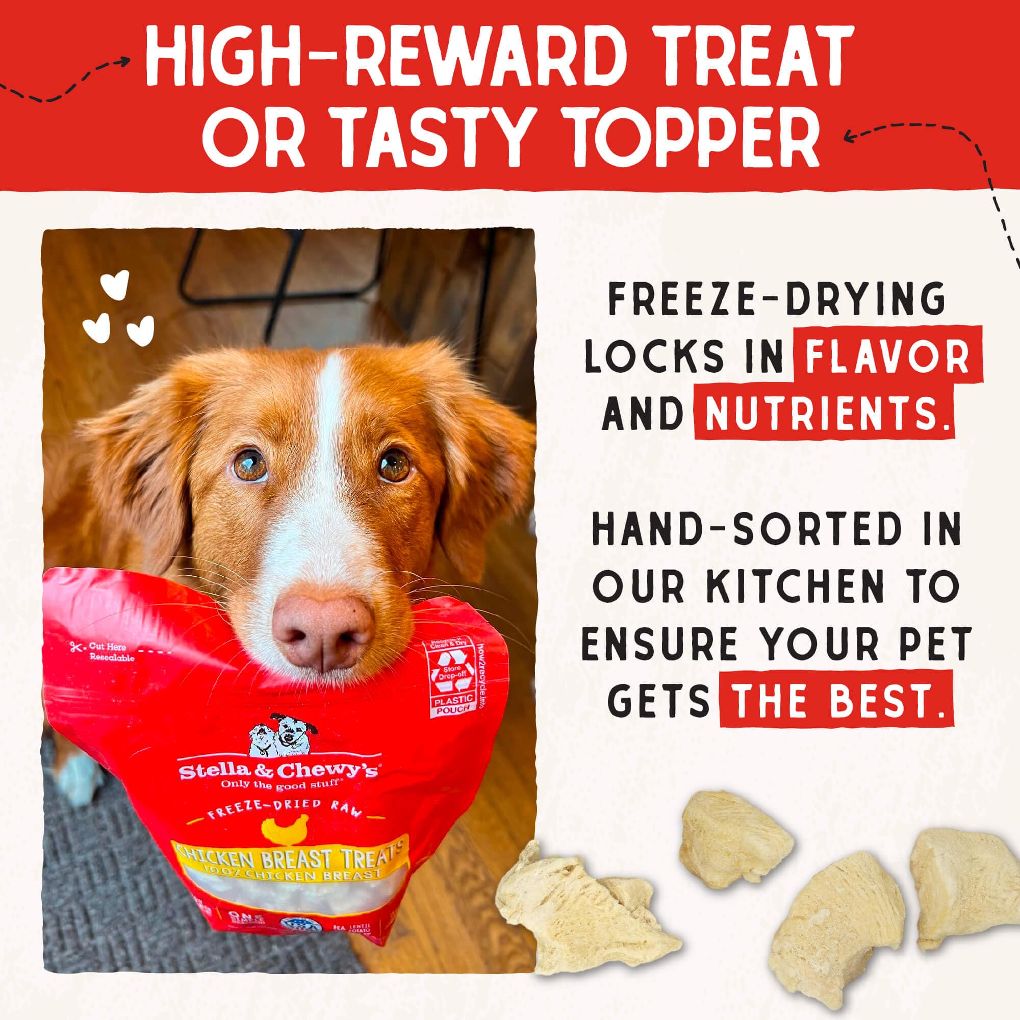 Tasting Stella & Chewy's treats on a plate with inviting aroma.