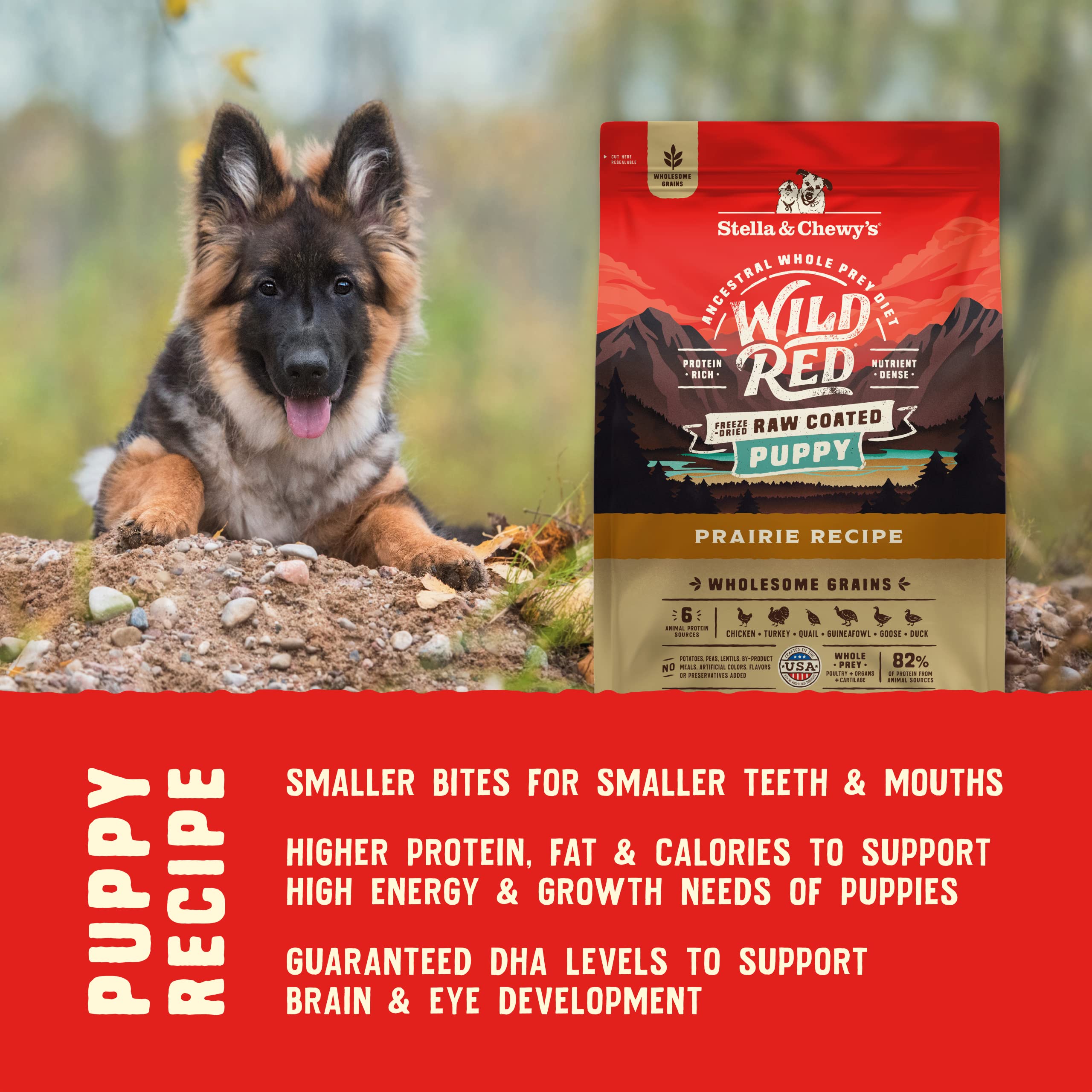 Stella & Chewy's wholesome grains barley and oatmeal – gentle digestion for puppies