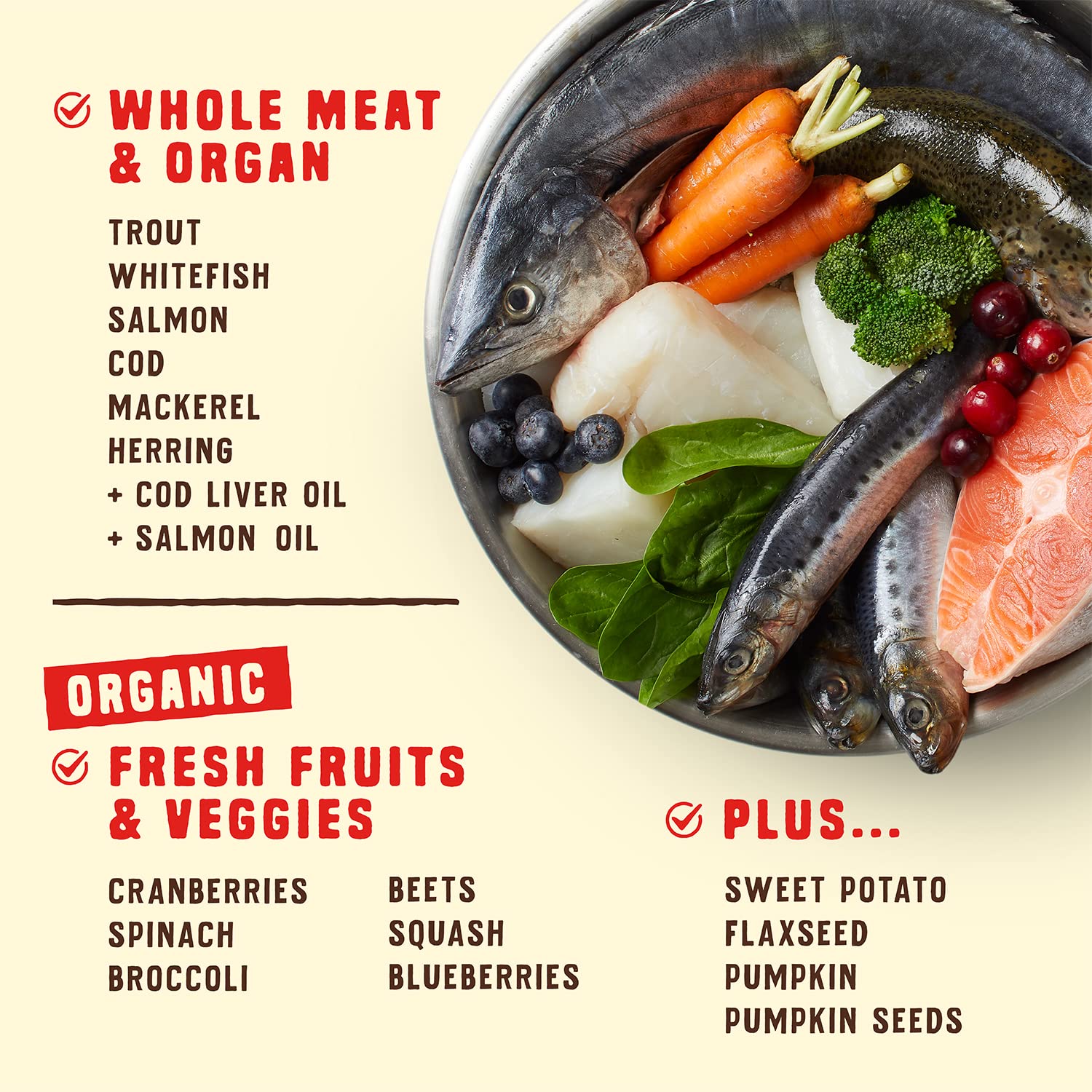 Stella & Chewy's Wild Red Ocean Recipe kibble close-up with raw-coated texture.