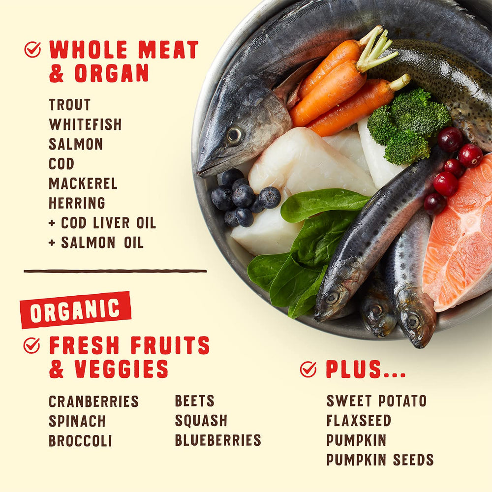 Stella & Chewy's Wild Red Ocean Recipe kibble close-up with raw-coated texture.