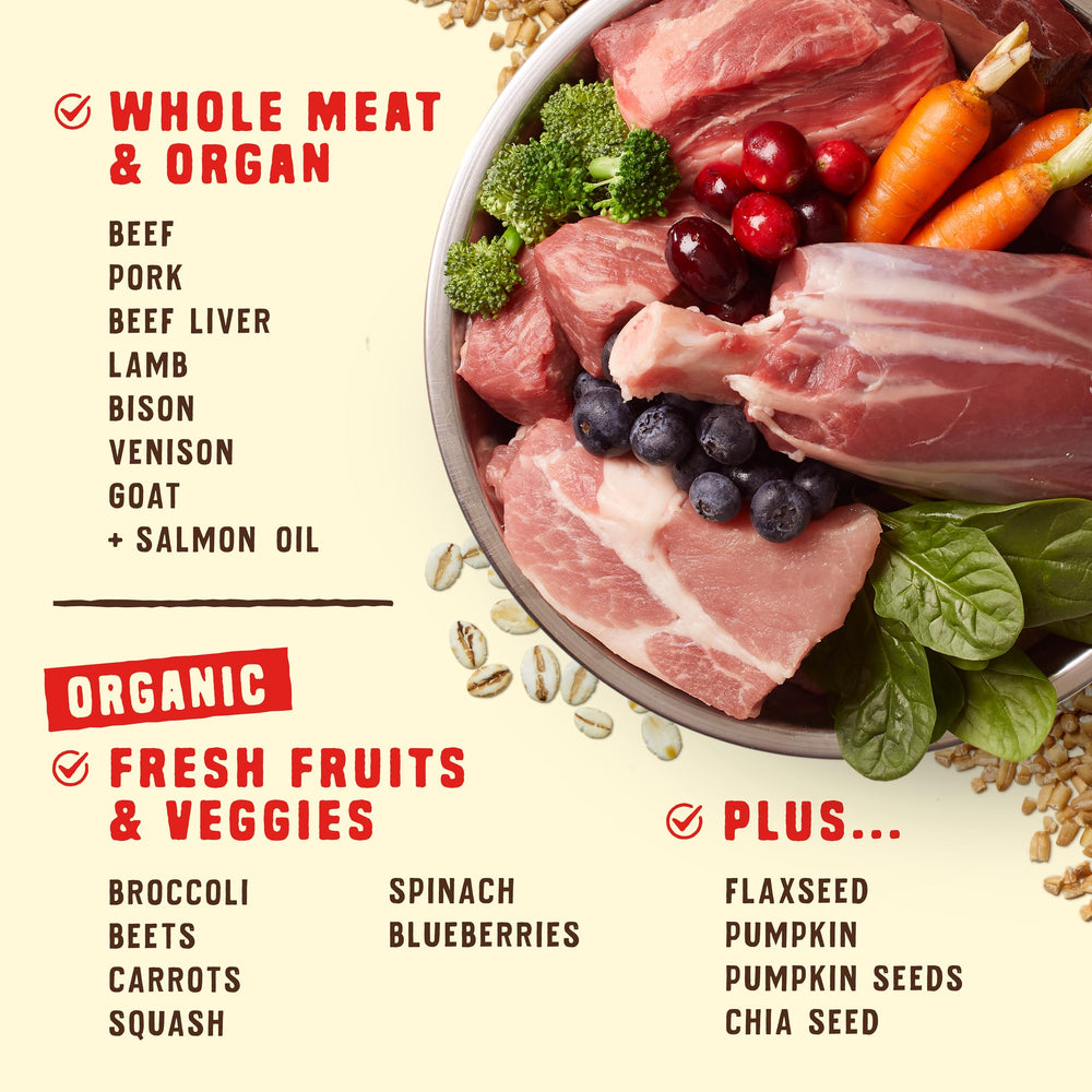 Stella & Chewy's Wild Red raw-coated kibble image suggests extra flavor and protein punch.