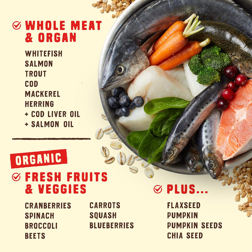 Six fish protein sources highlighted in the Ocean Recipe.