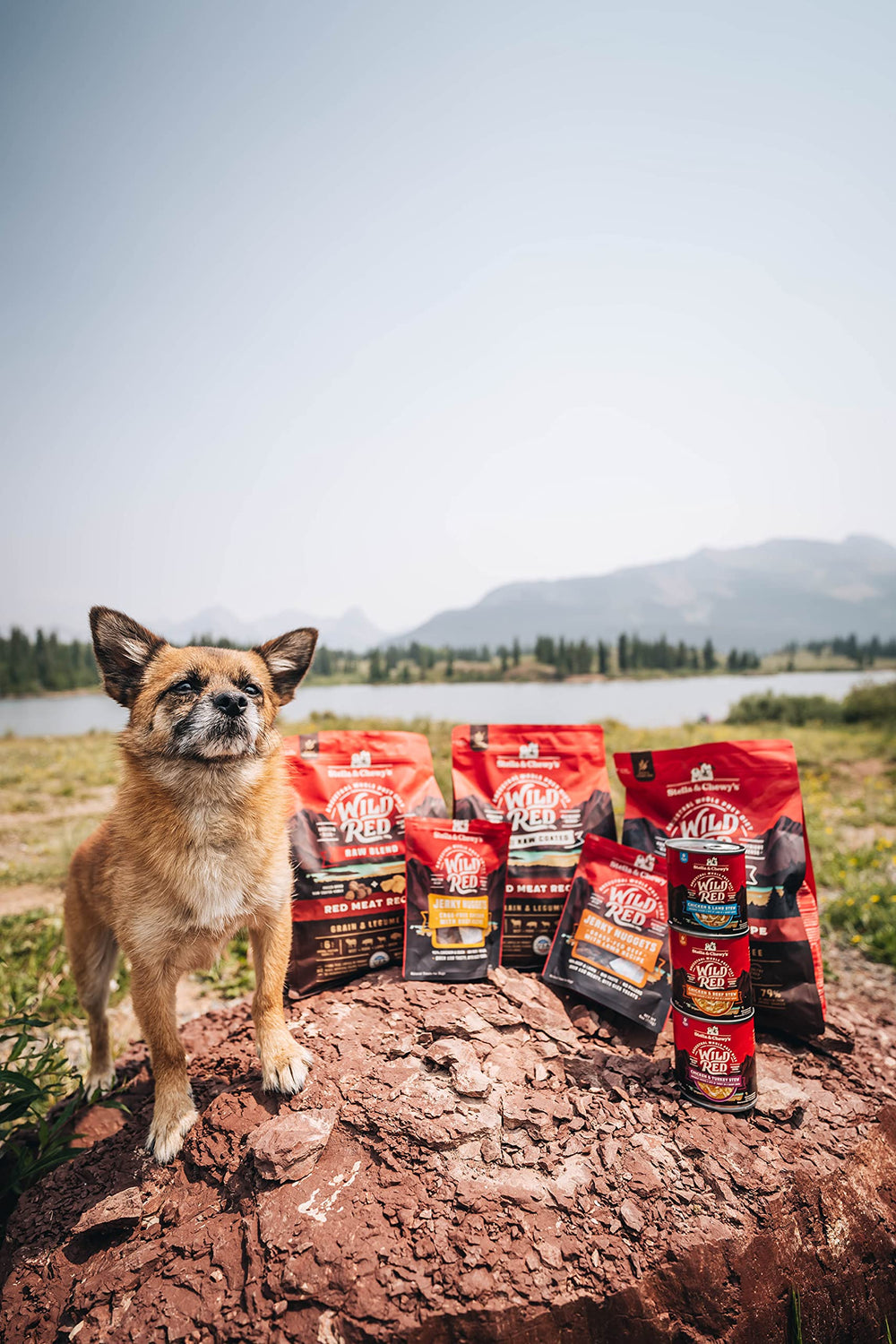 Stella & Chewy's Wild Red Raw Blend includes antioxidants for immune support.