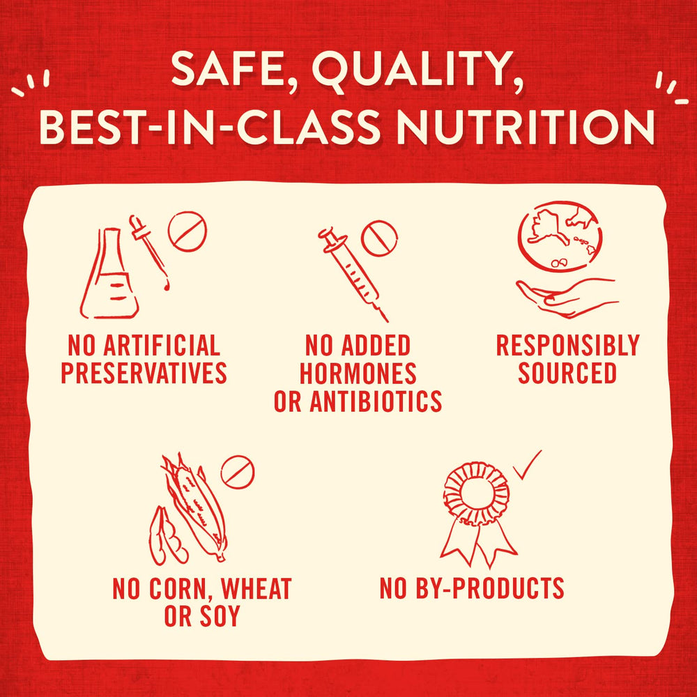 Stella & Chewy's Wild Weenies puppy-friendly protein option for dogs.