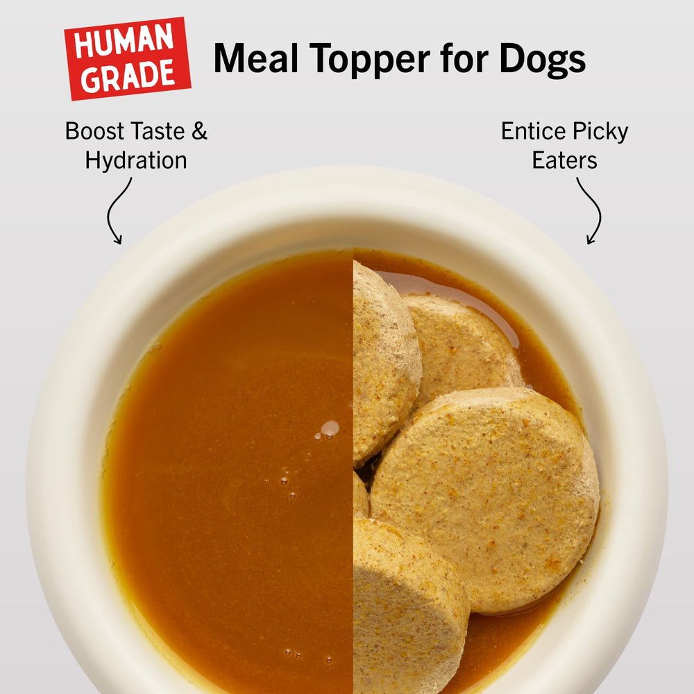 Stella & Chewy's bone broth being poured into a dog dish for hydration