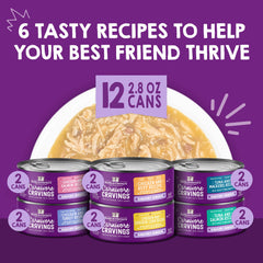 Stella & Chewy's Savory Shreds cans poured into a bowl, highlighting hydration and meal versatility.