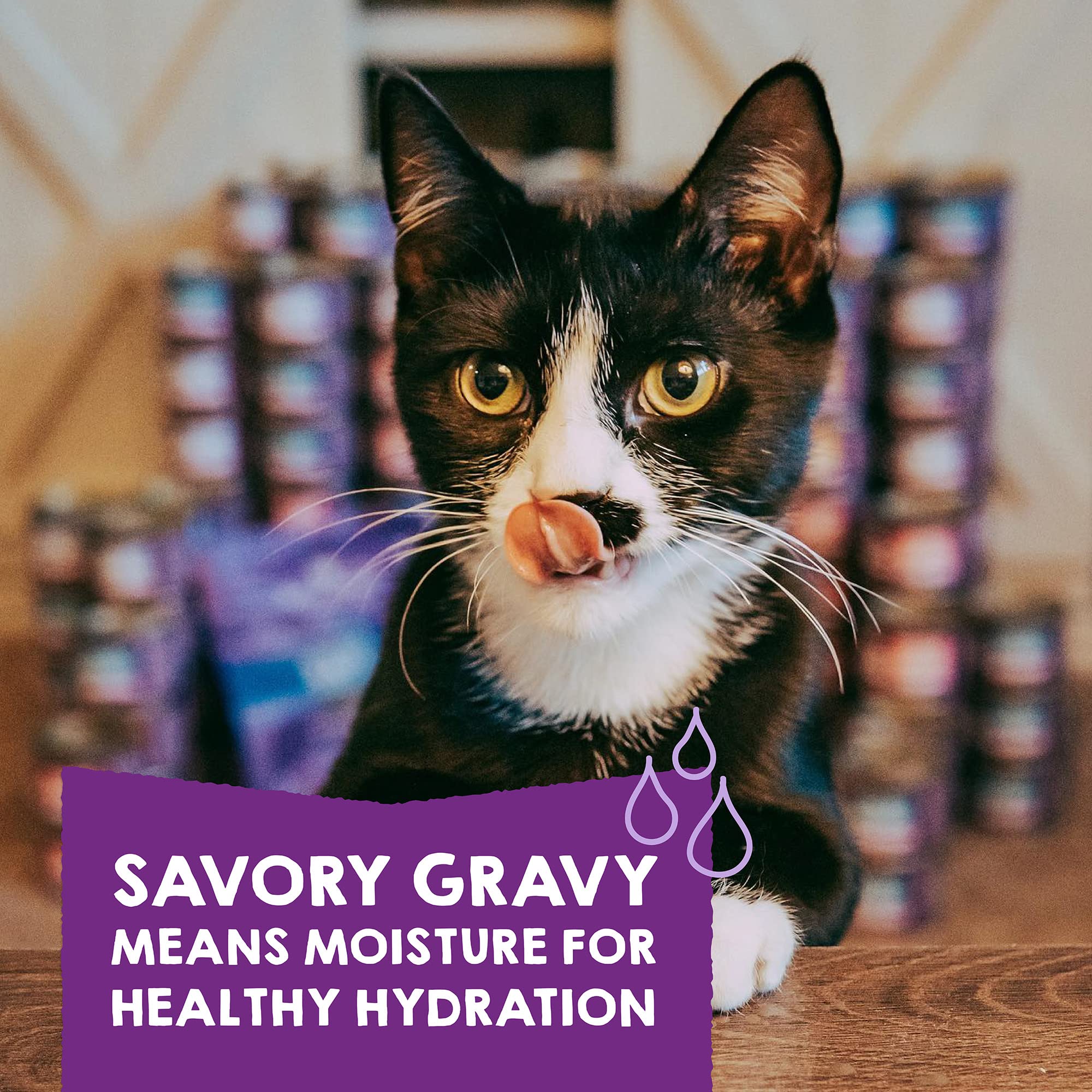 Stella & Chewy's Carnivore Cravings Savory Shreds variety pack showcases six distinct recipes.
