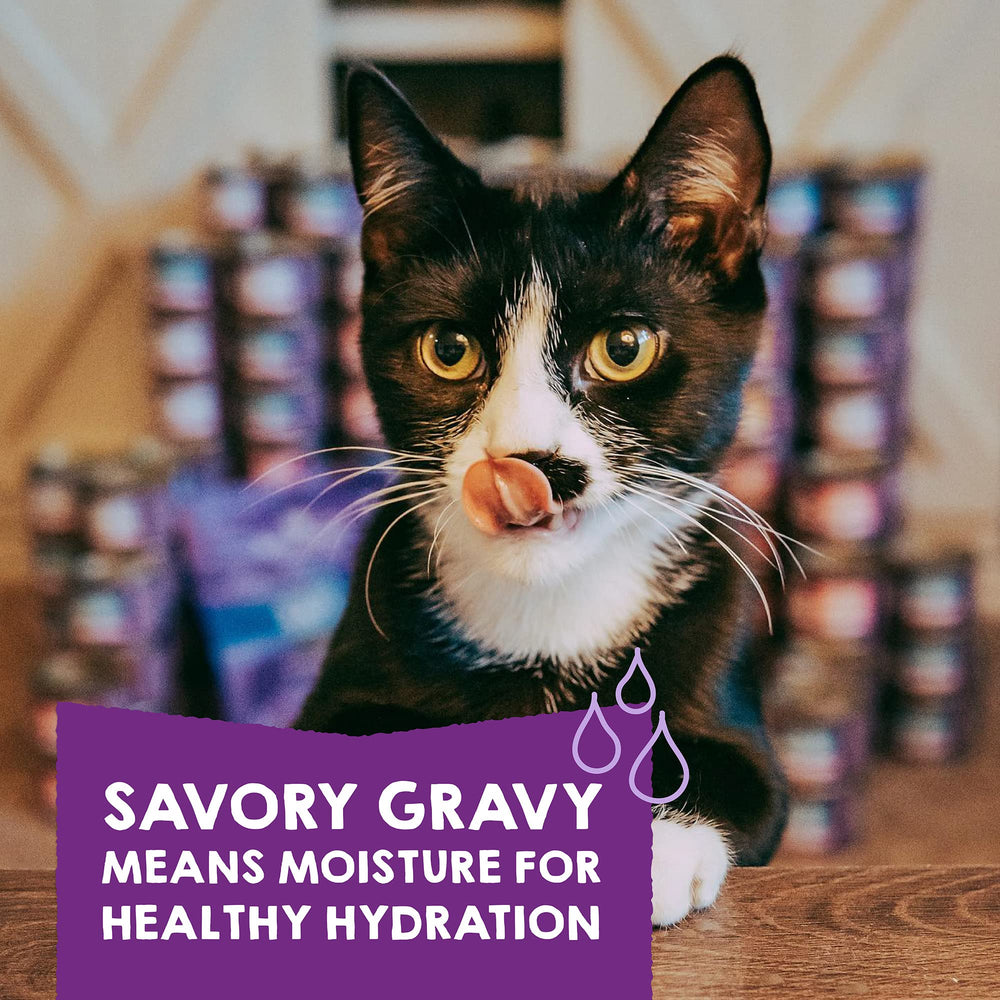 Stella & Chewy's Carnivore Cravings Savory Shreds variety pack showcases six distinct recipes.