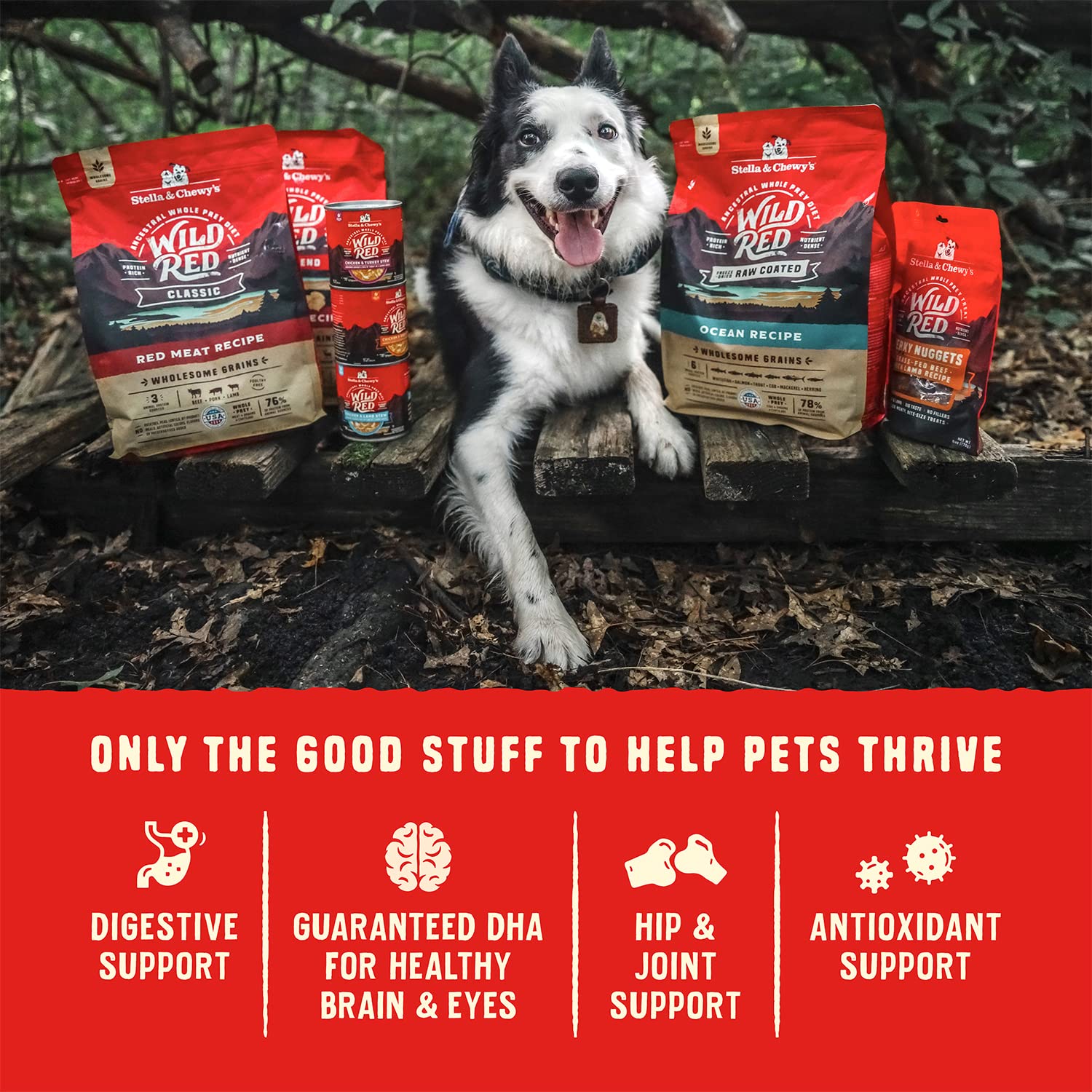 Stella & Chewy's Wild Red skin and coat support from omega-rich ingredients