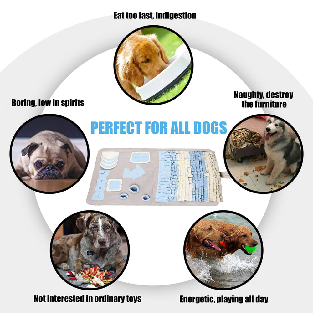 Stellaire Chern snuffle mat slow-feeding feature promotes calmer meals.