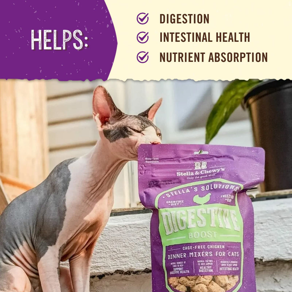 Pumpkin and pineapple fiber in Stella's Solutions Digestive Boost for digestion support