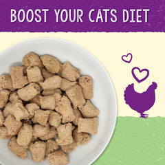 Stella's Solutions Digestive Boost topper pouring into a cat bowl for nutrition and taste