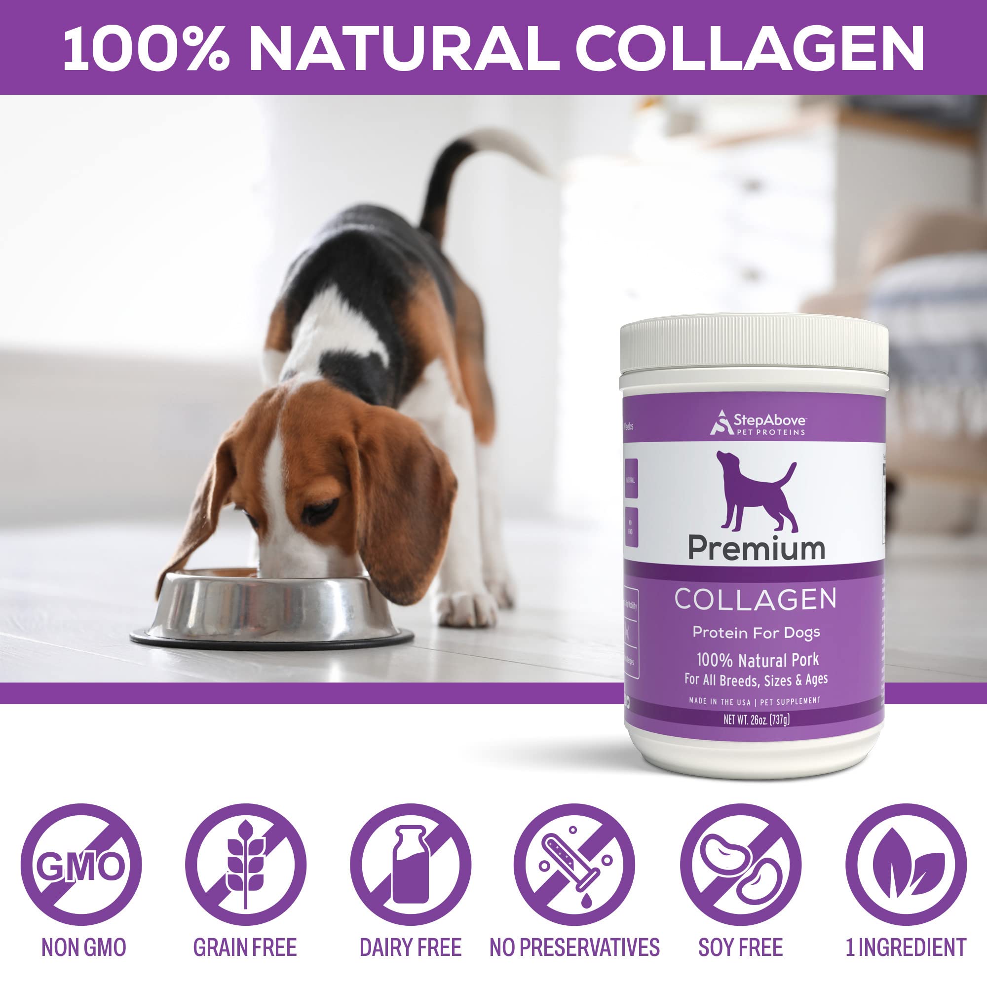Step Above Proteins collagen powder boosts coat shine after meals.