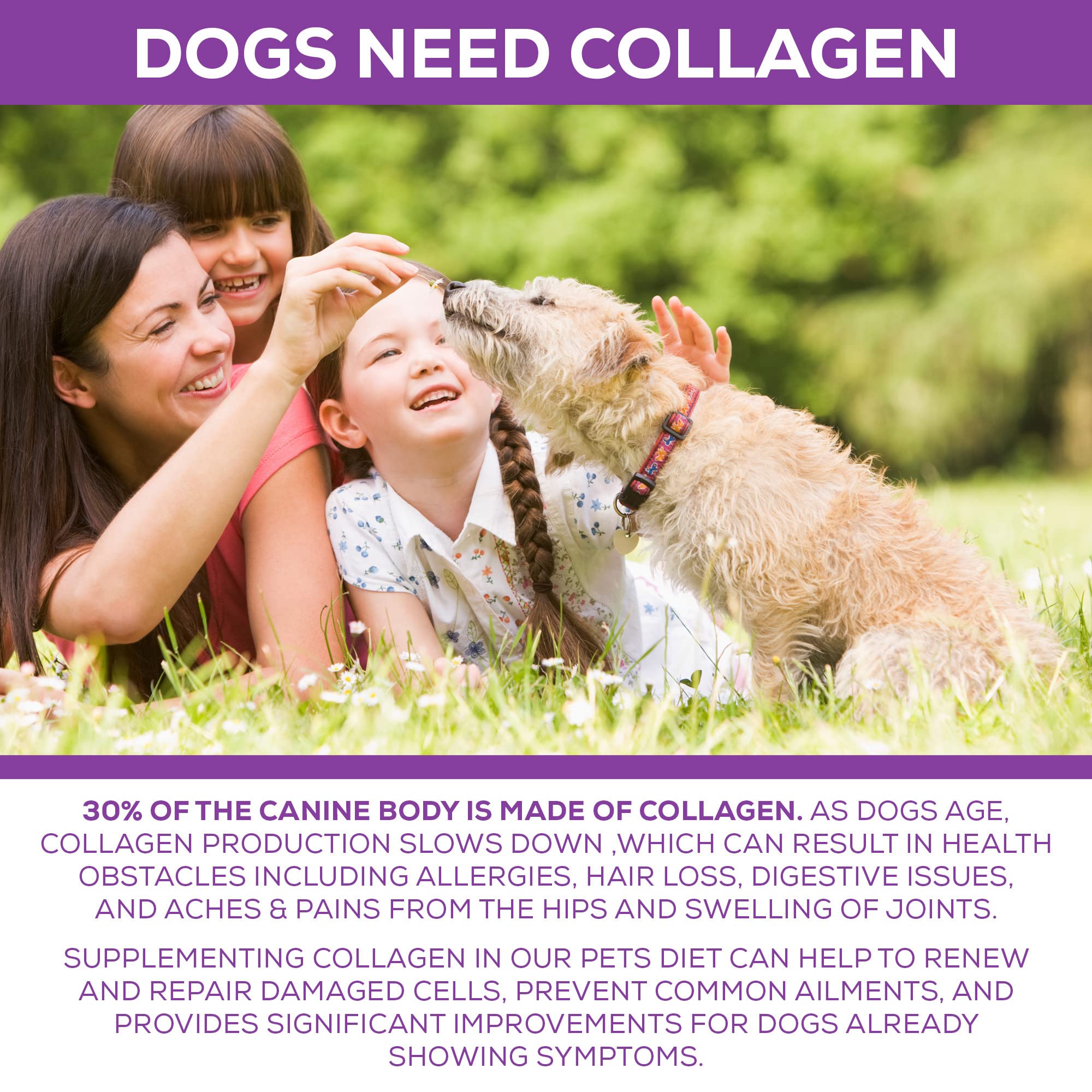 Step Above Proteins collagen scoop beside powder for easy daily dosing.