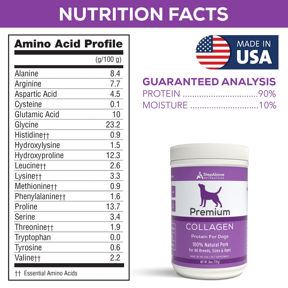 Step Above Proteins dog collagen enhances vitality during playtime.