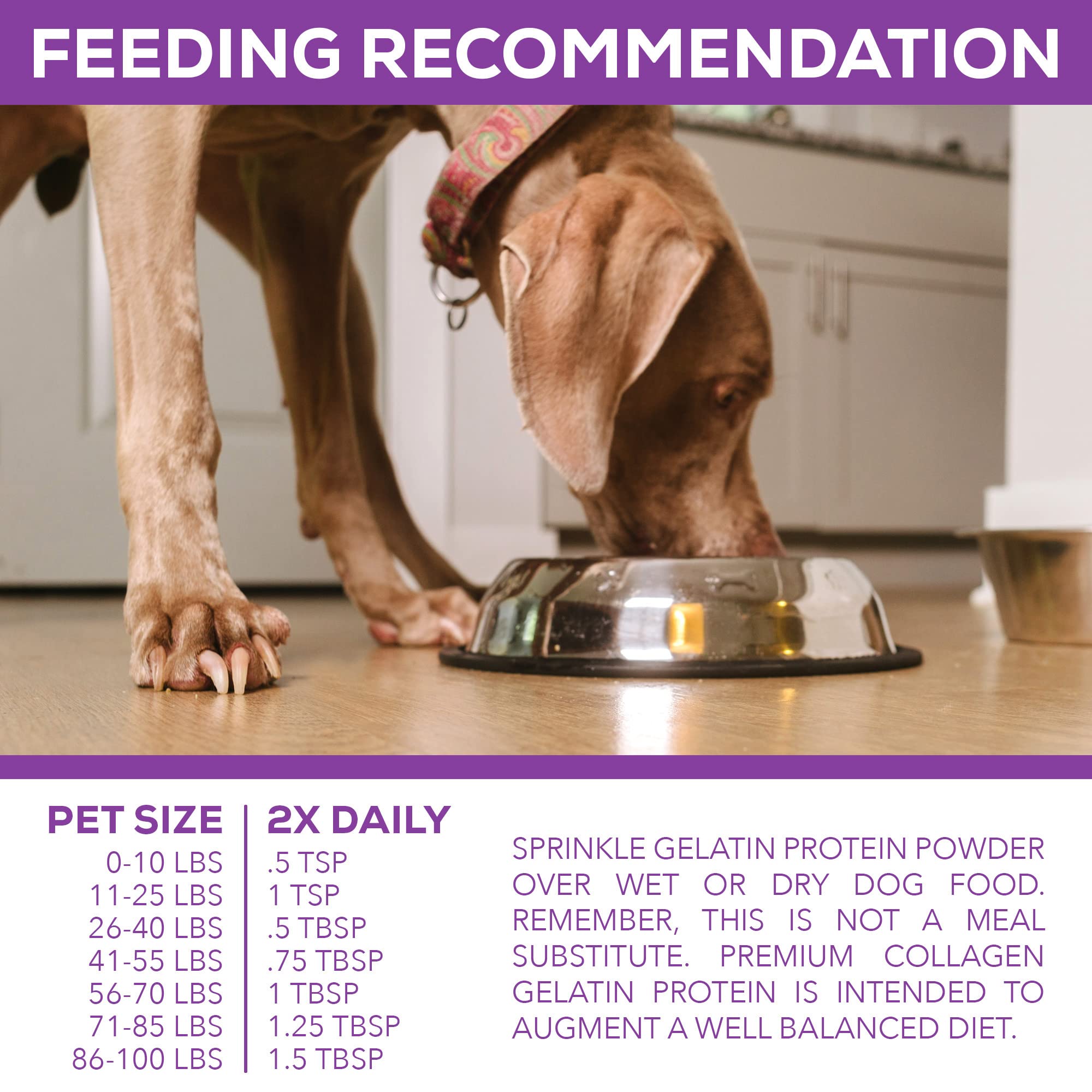 Step Above Proteins dog bowl with collagen suggests joint comfort during activity.