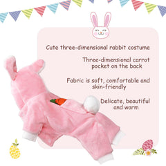 Stepsin easy-on-off dog costume for quick dressing